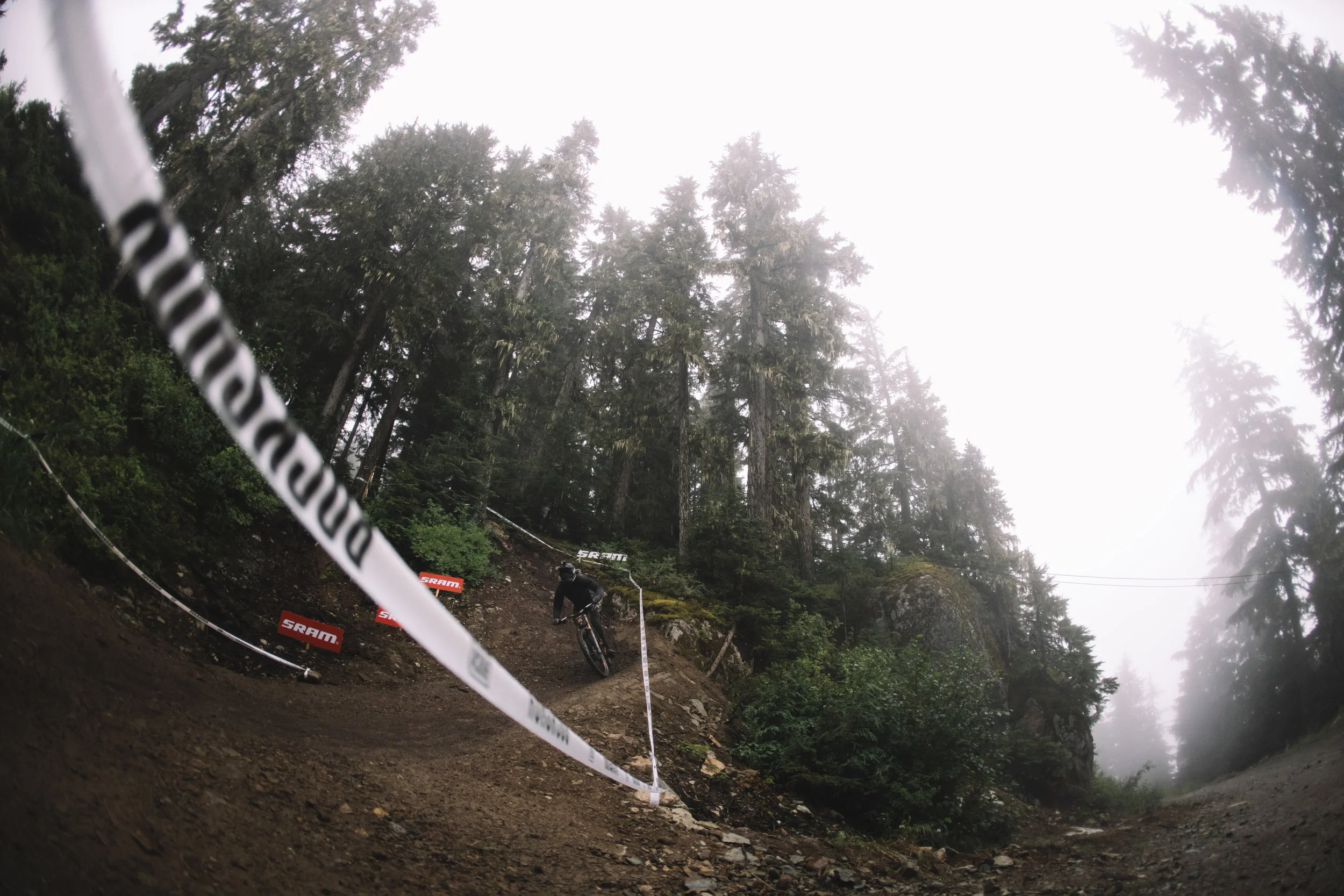 RobPerry_Arbutus_August 17, 2025_1-5.jpg