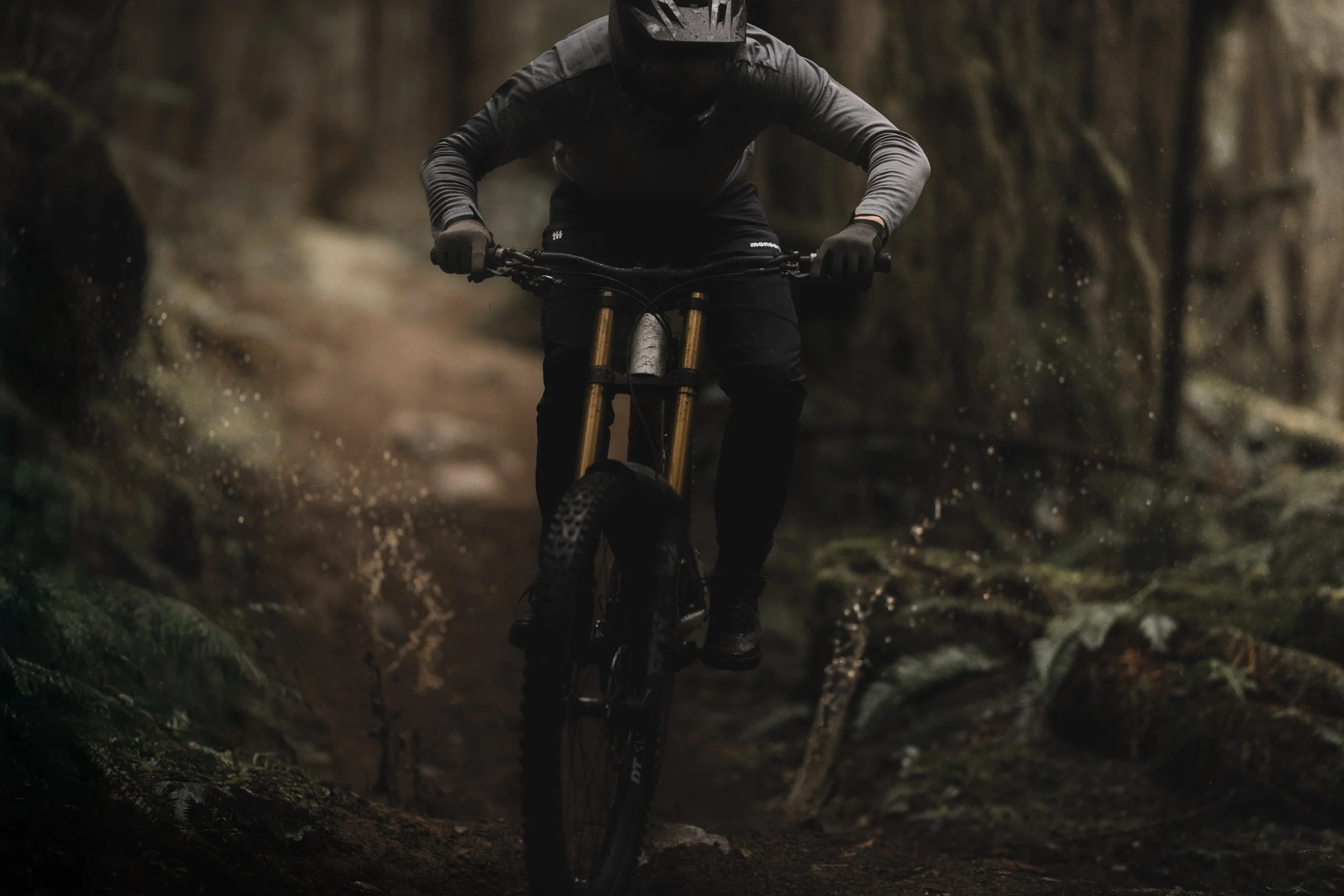 RobPerry_Arbutus_July 18, 2025_1.jpg