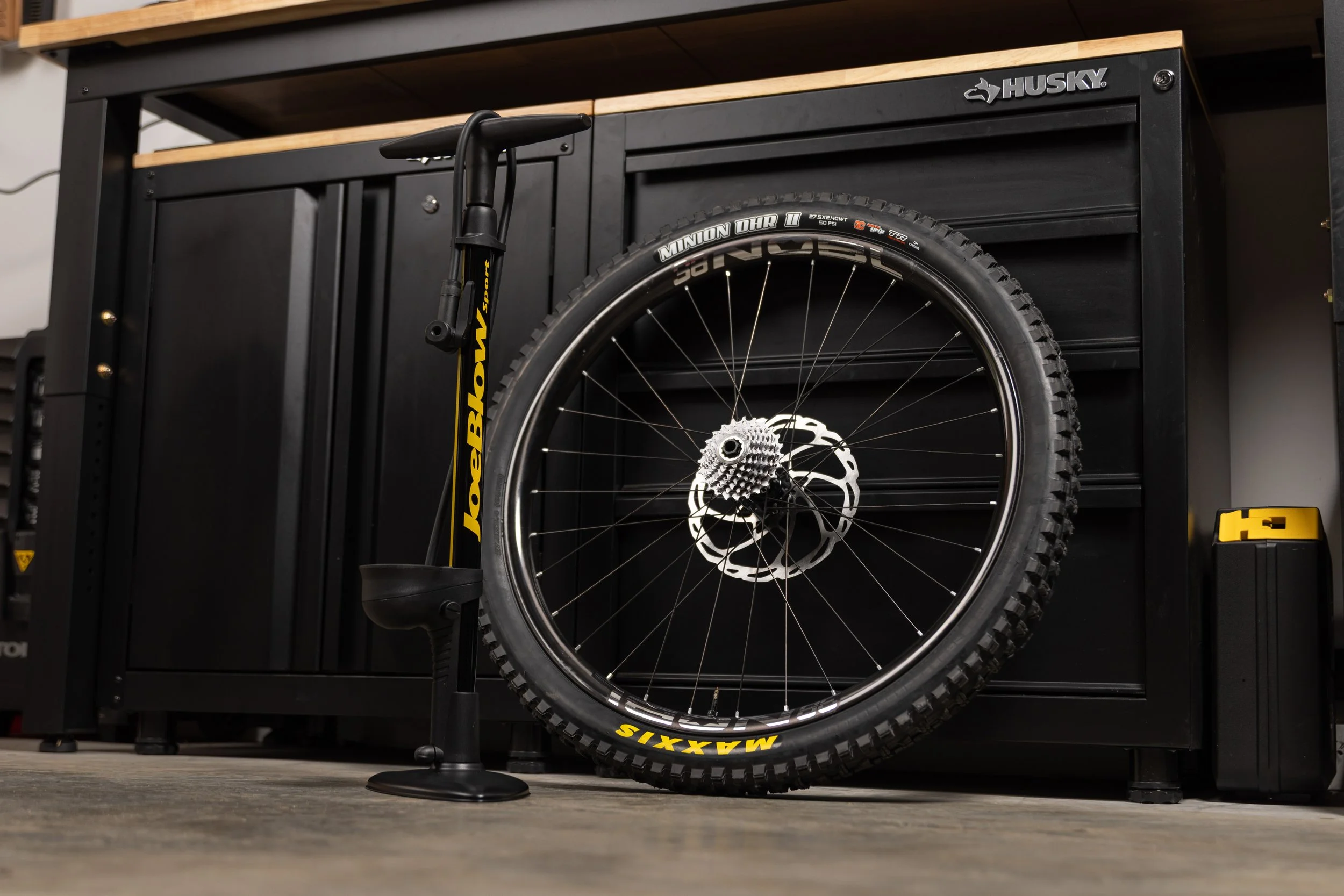 RobPerry_Arbutus_September 21, 2025_1-4.jpg