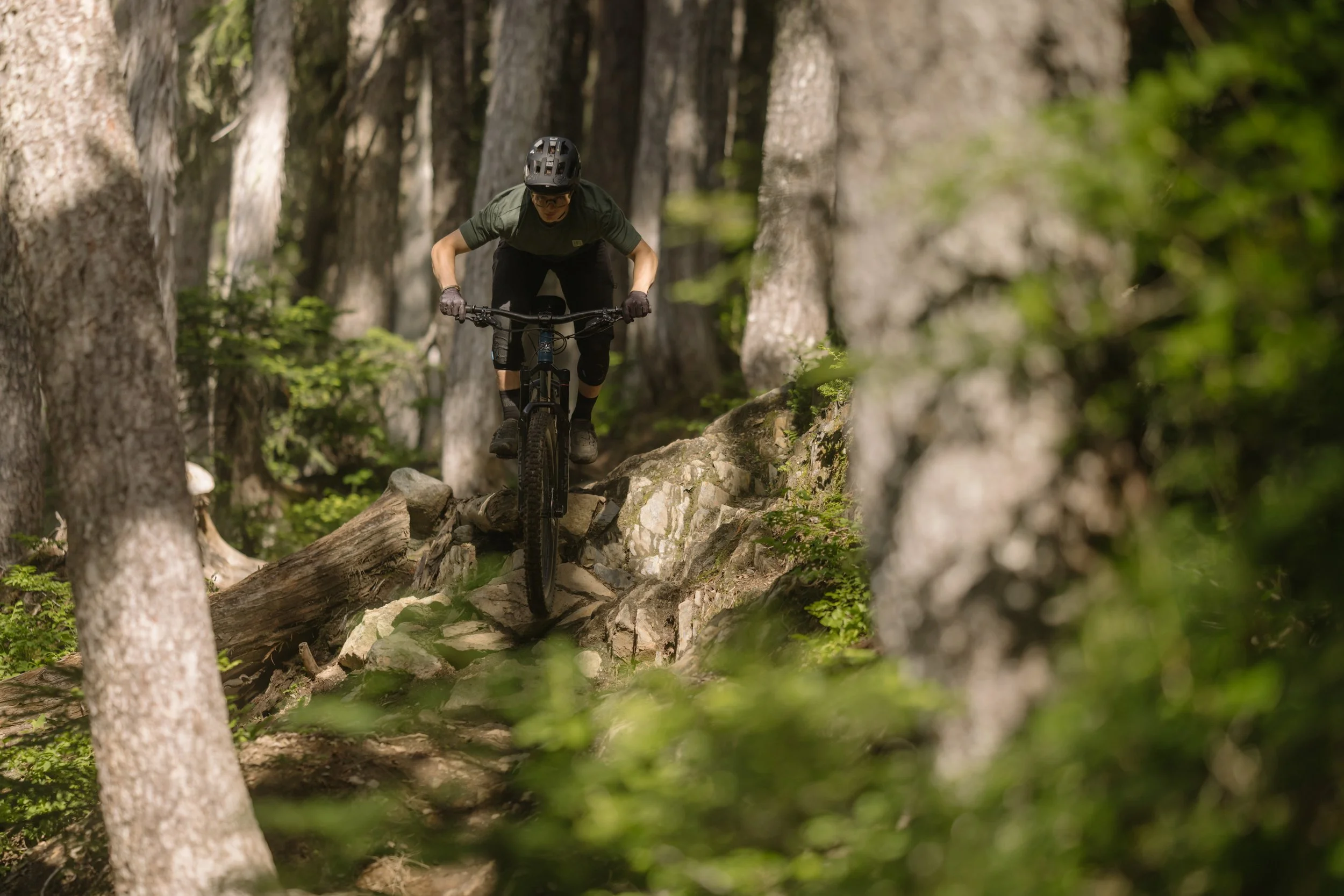 RobPerry_Arbutus_July 15, 2025_1-3.jpg