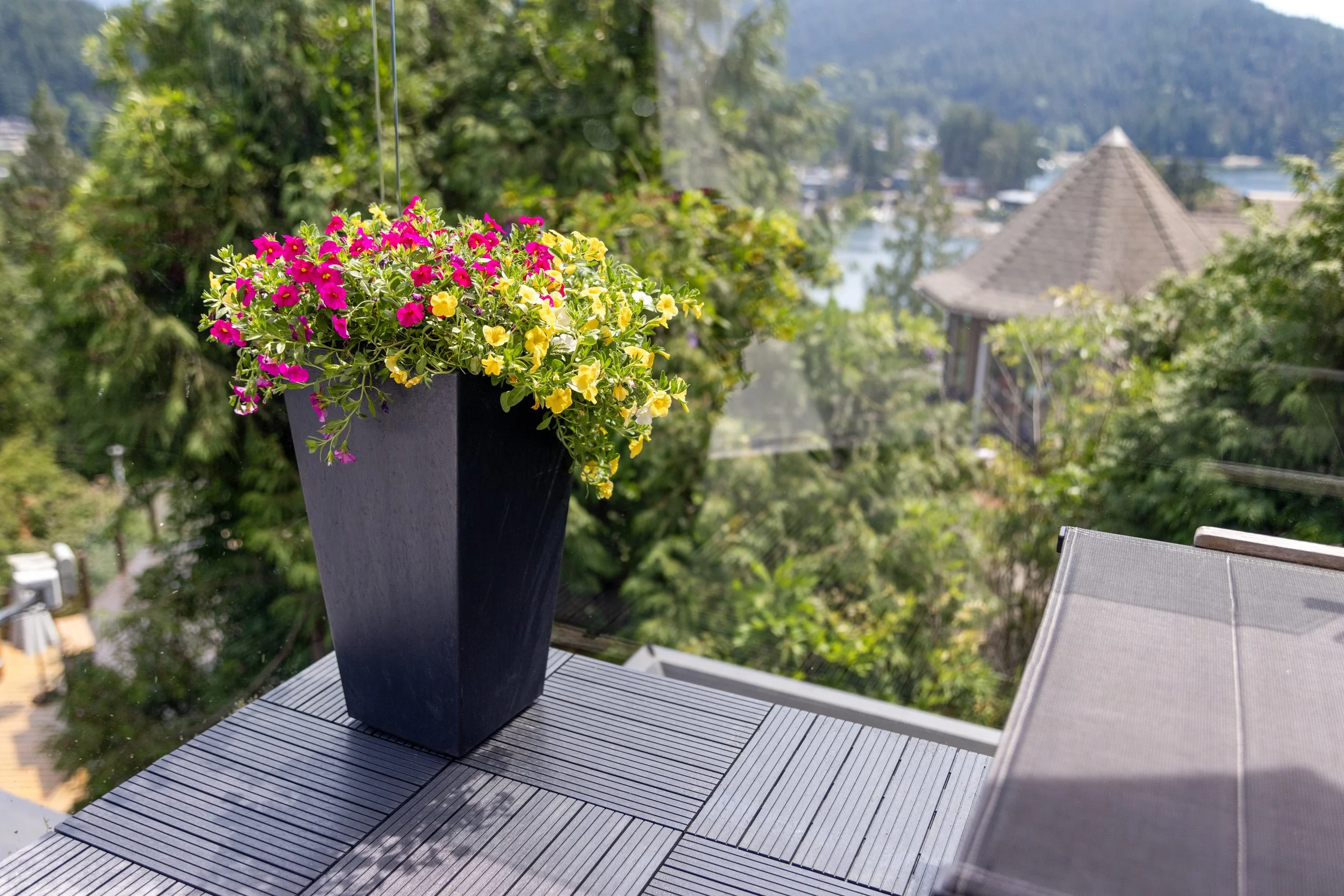 RobPerry_Arbutus_July 13, 2025_1-3.jpg