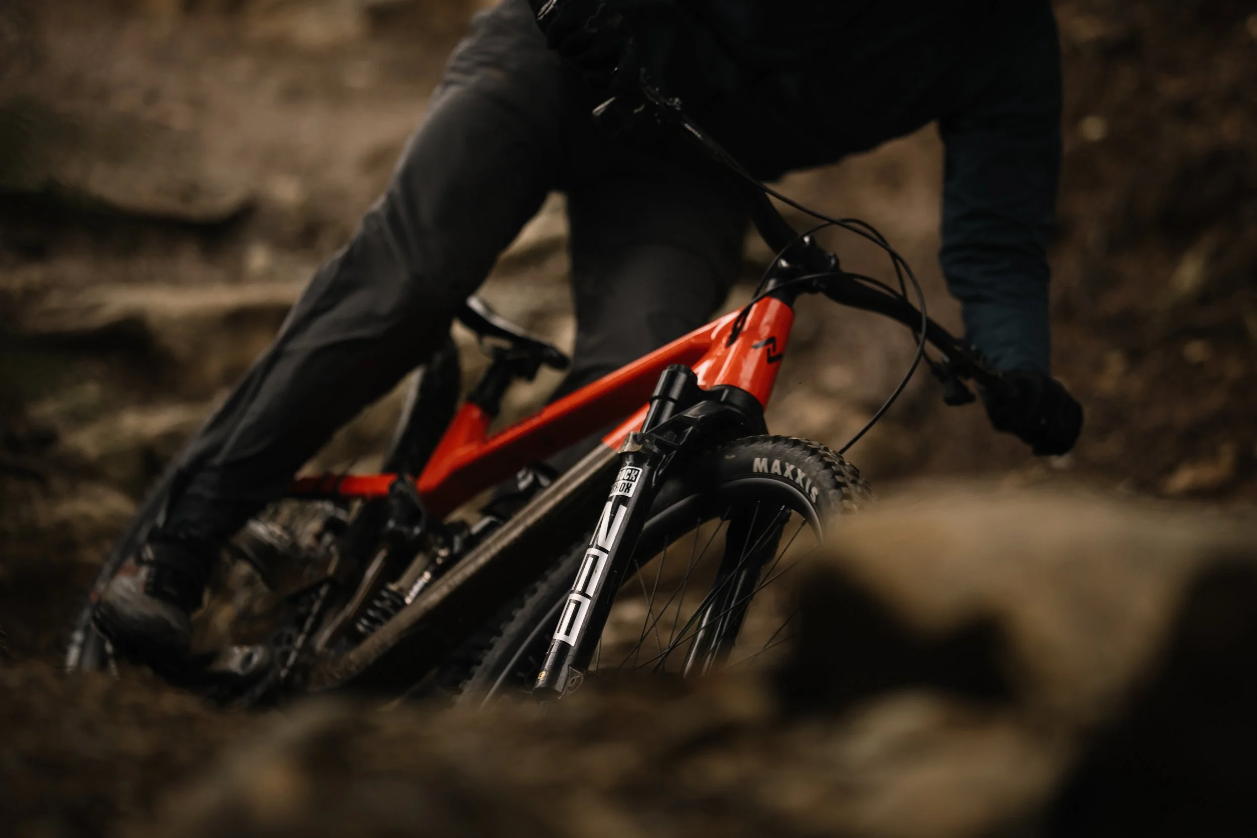 RobPerry_Arbutus_October 10, 2025_1.jpg