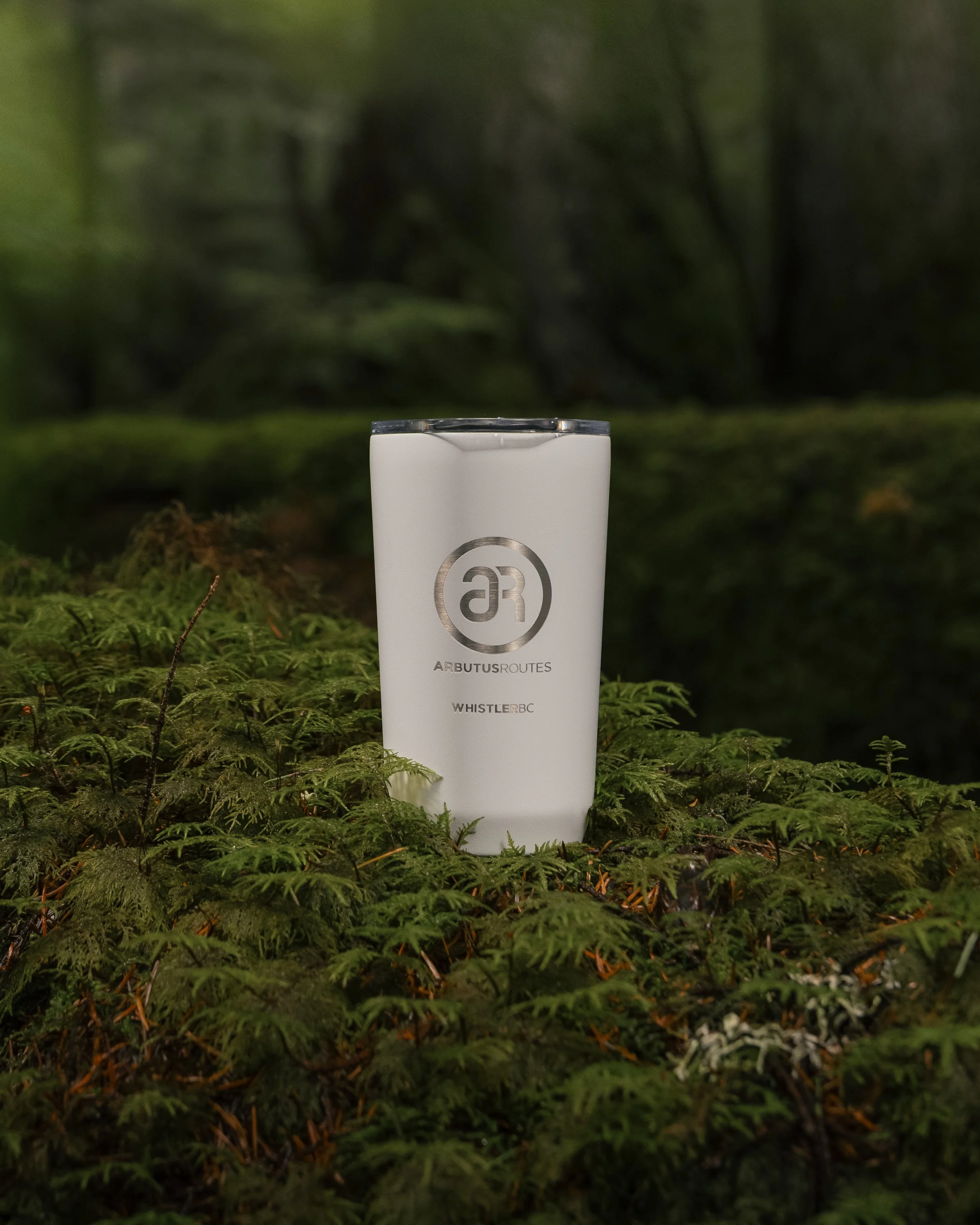 RobPerry_Arbutus_November 27, 2025_1.jpg