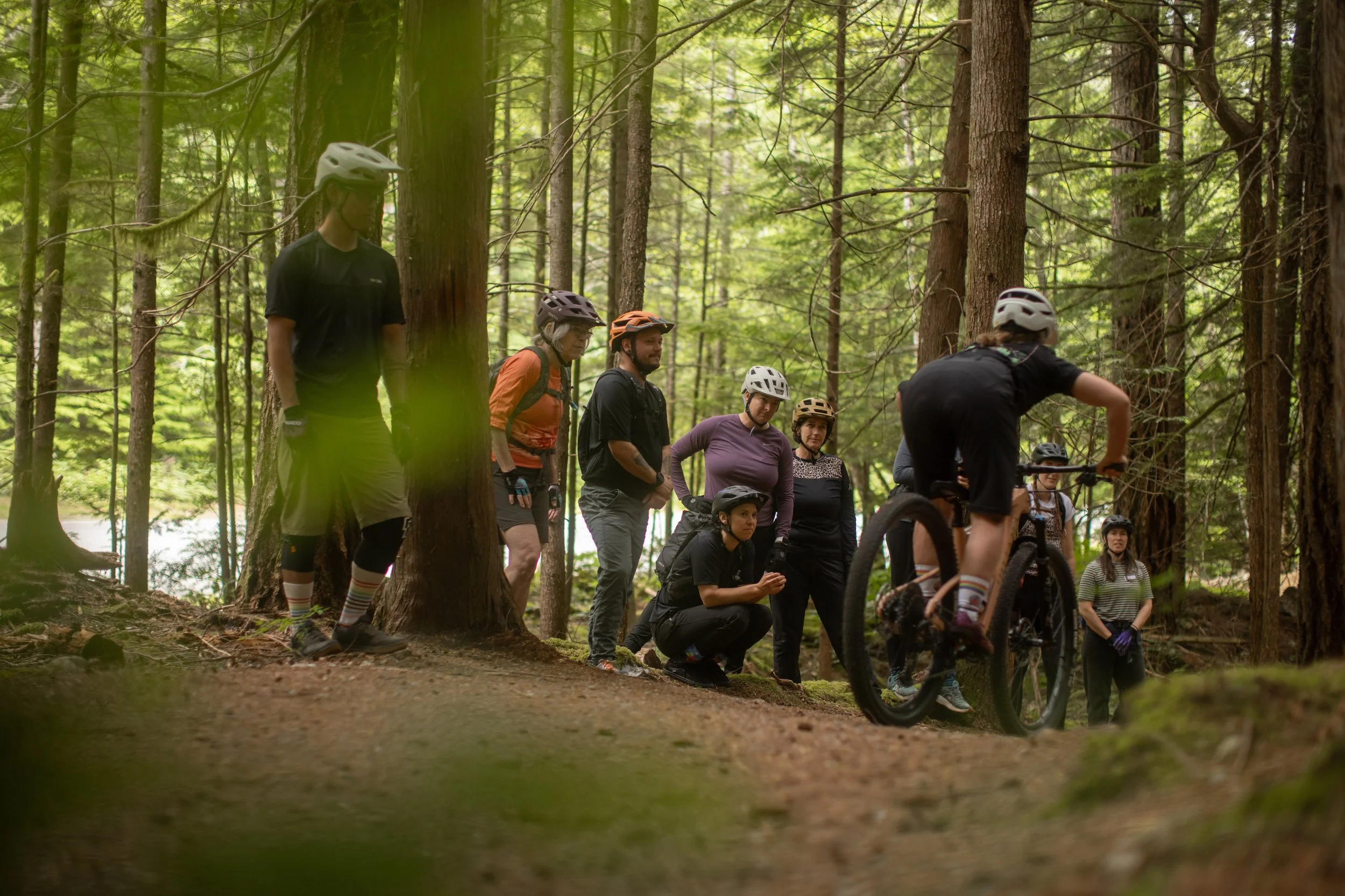 RobPerry_Arbutus_June 23, 2025_1-8.jpg