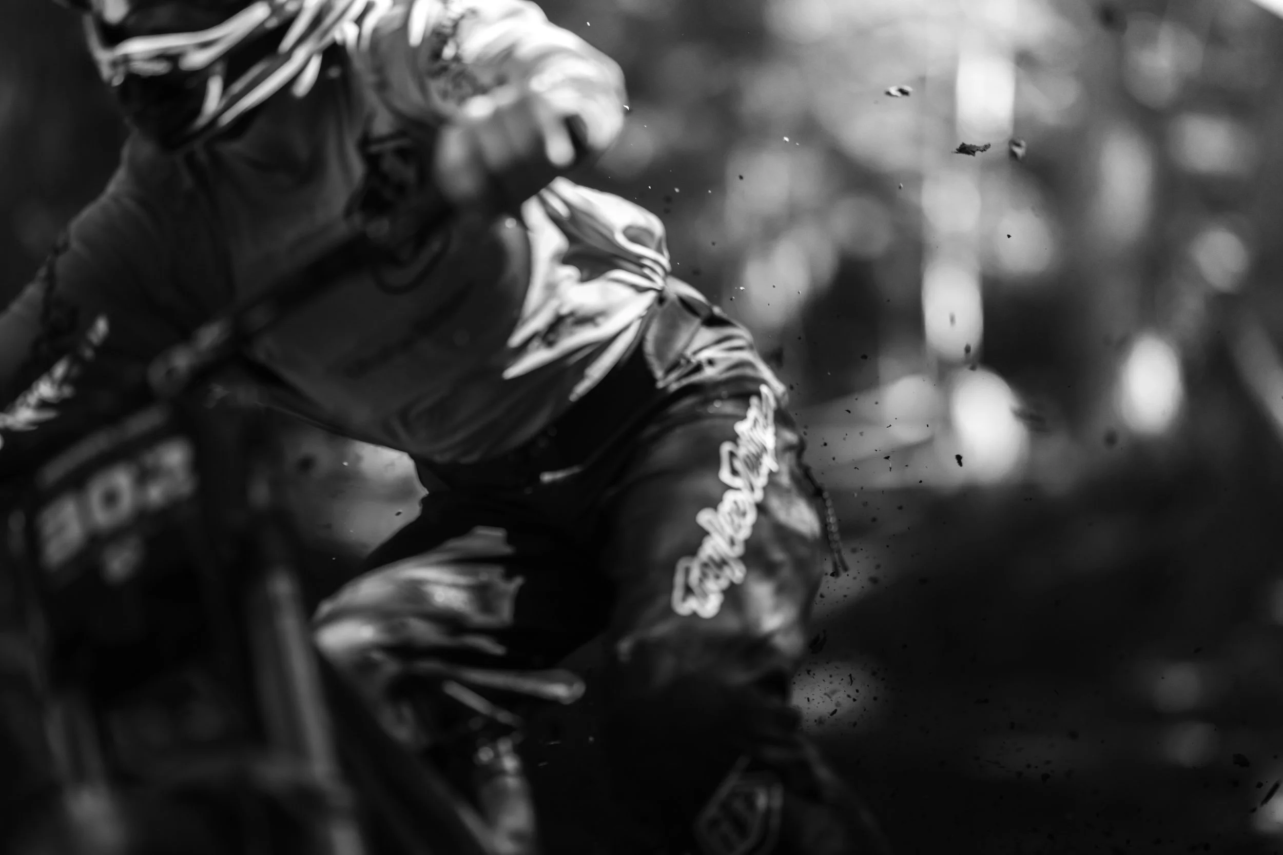 RobPerry_Arbutus_August 14, 2025_1-14.jpg