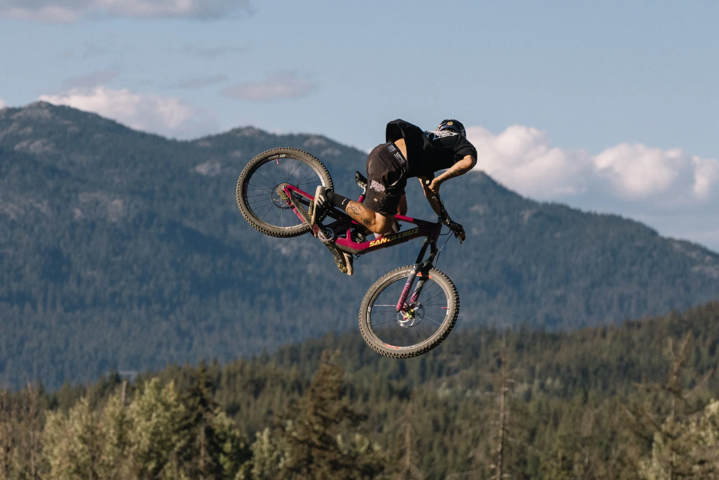 RobPerry_Arbutus_August 14, 2025_1.jpg