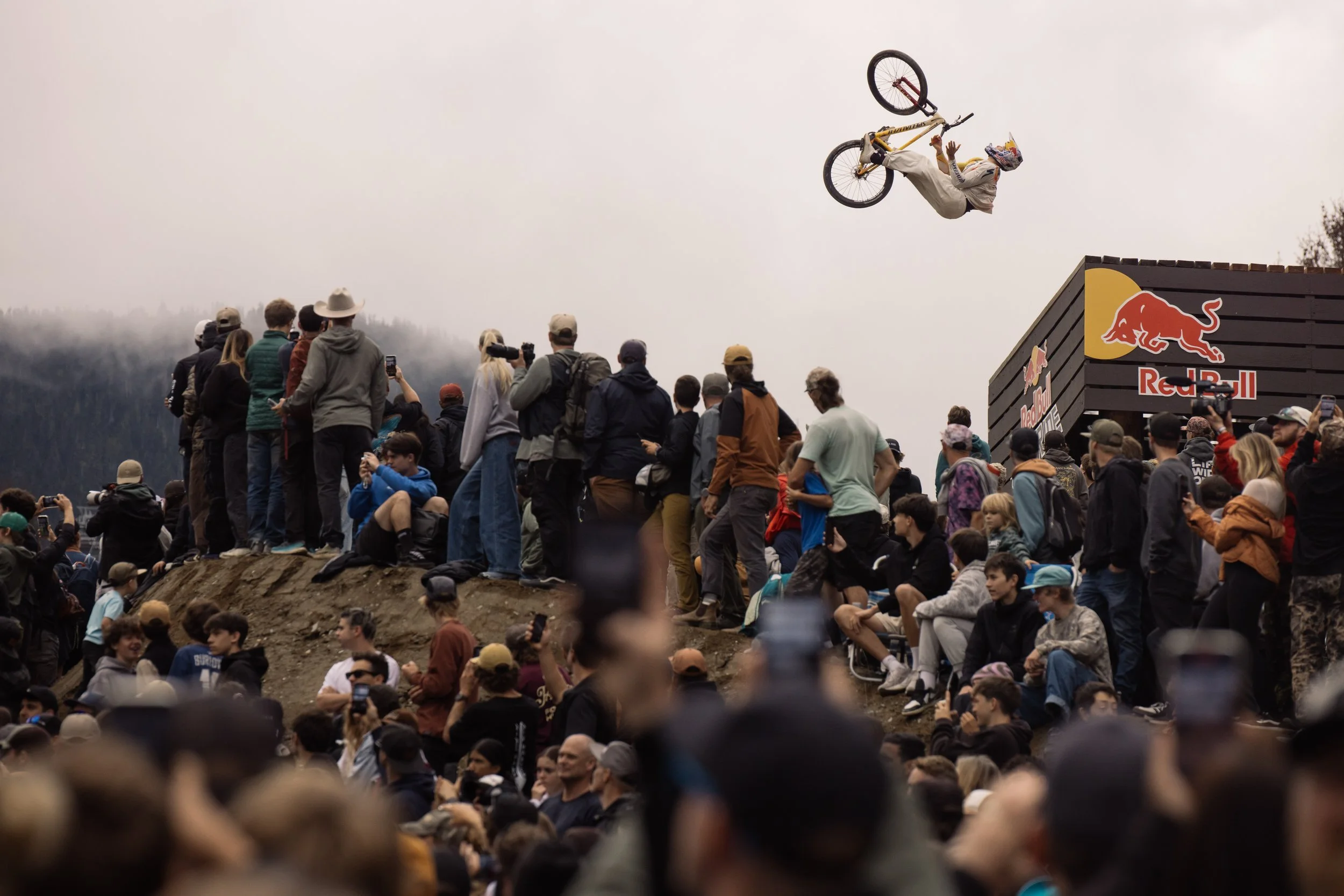 RobPerry_Arbutus_August 18, 2025_1-11.jpg