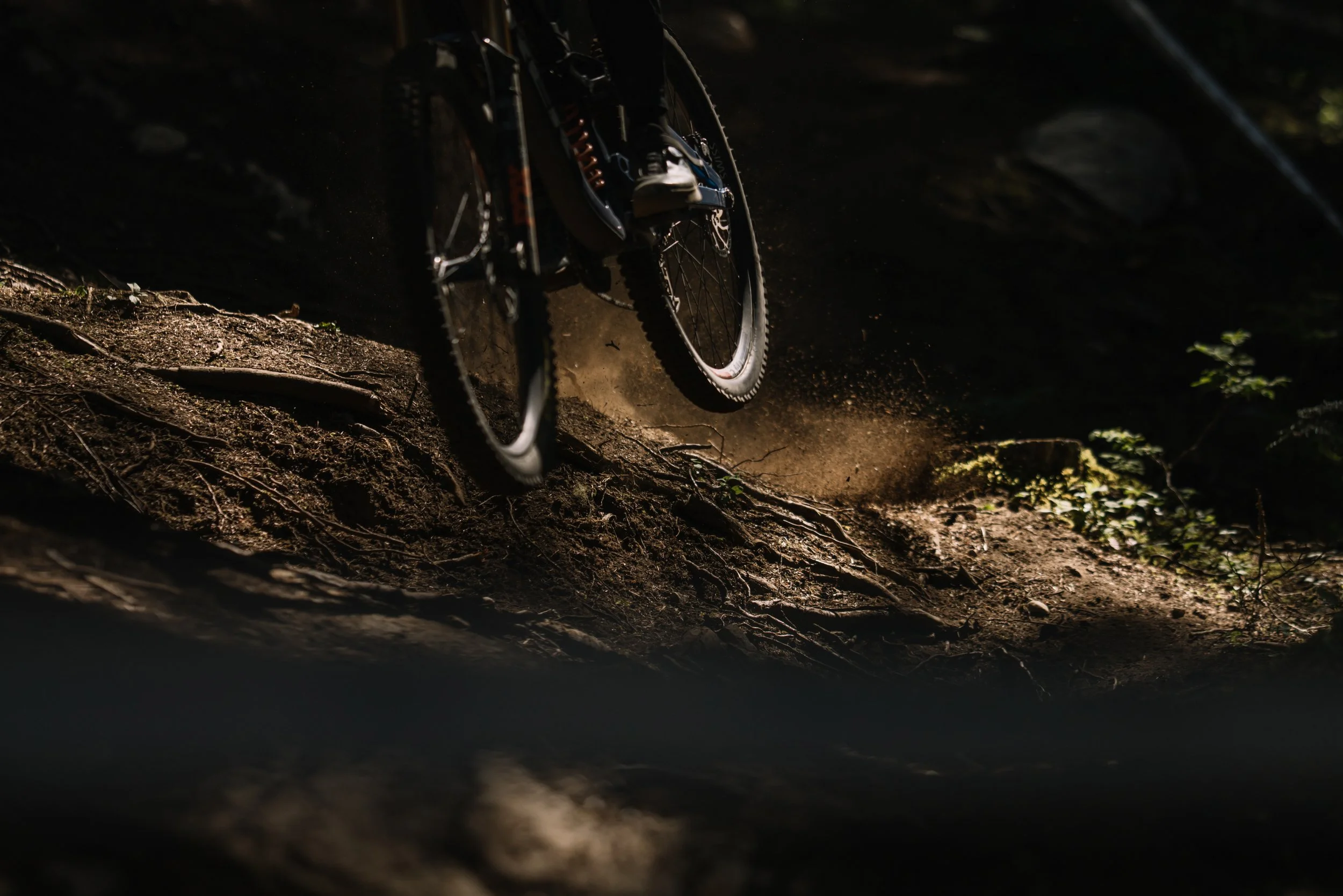 RobPerry_Arbutus_August 14, 2025_1-7.jpg