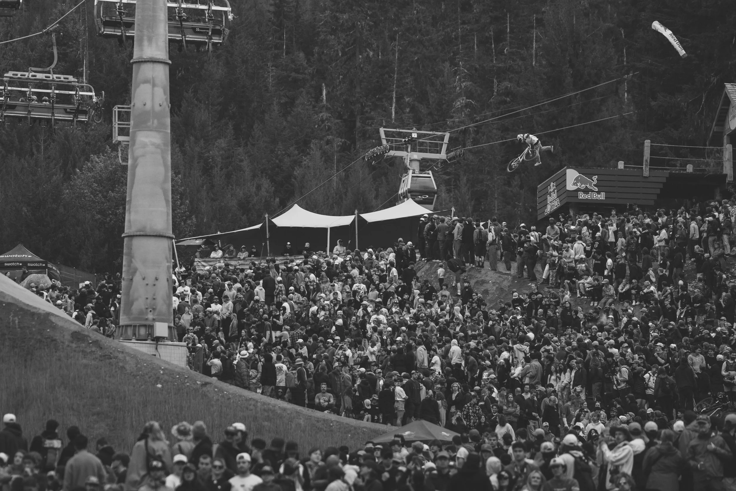 RobPerry_Arbutus_August 18, 2025_1-14.jpg