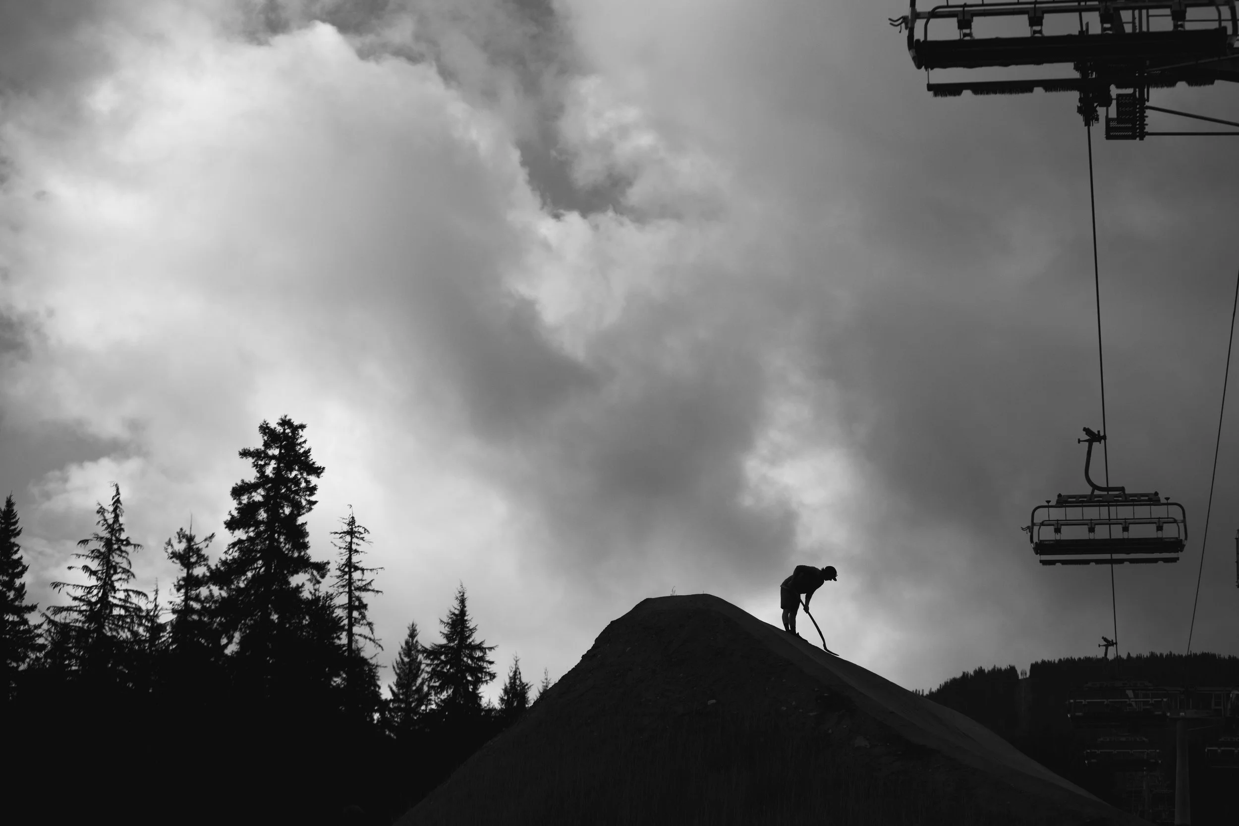 RobPerry_Arbutus_August 18, 2025_1-2.jpg