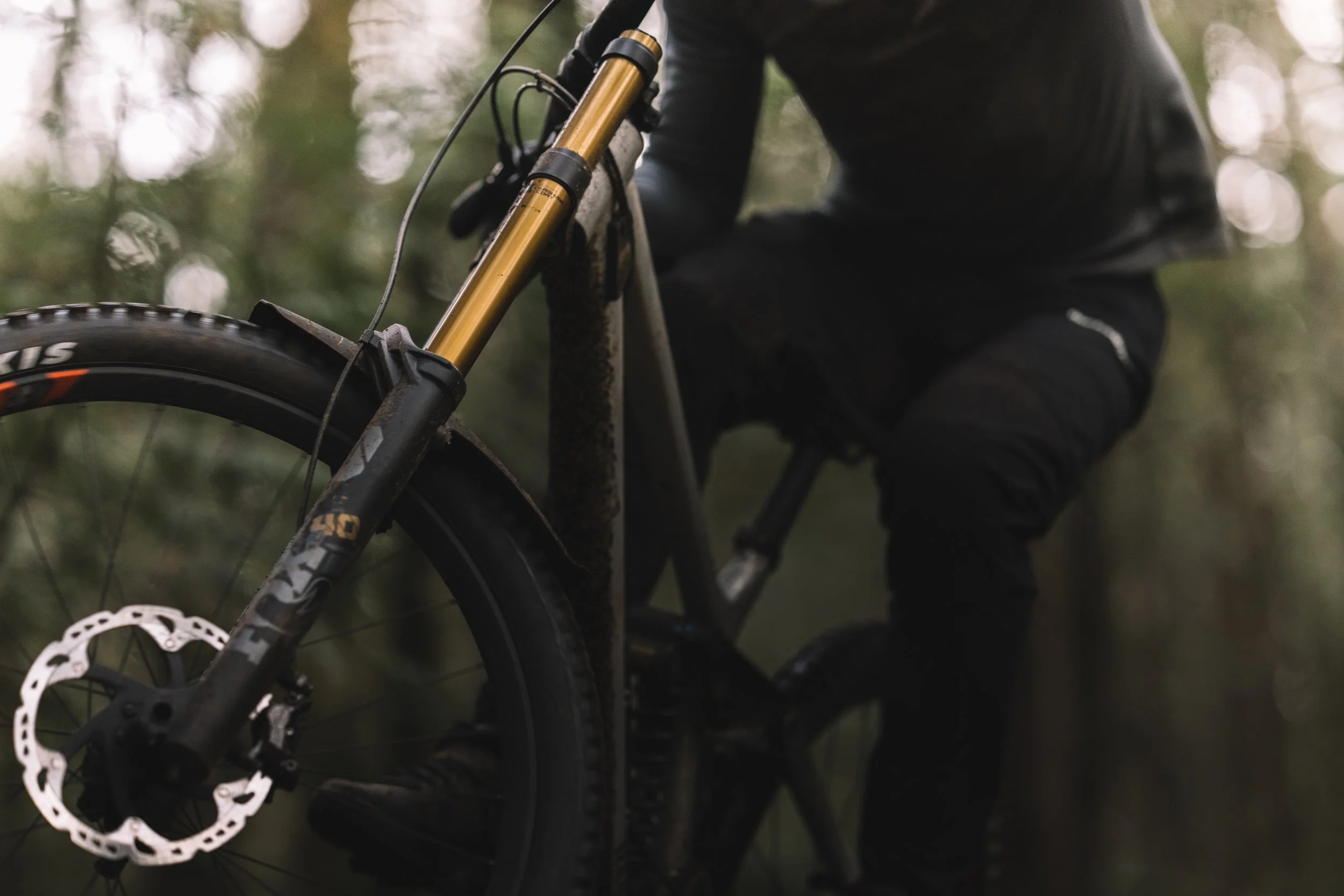 RobPerry_Arbutus_July 18, 2025_1-2.jpg