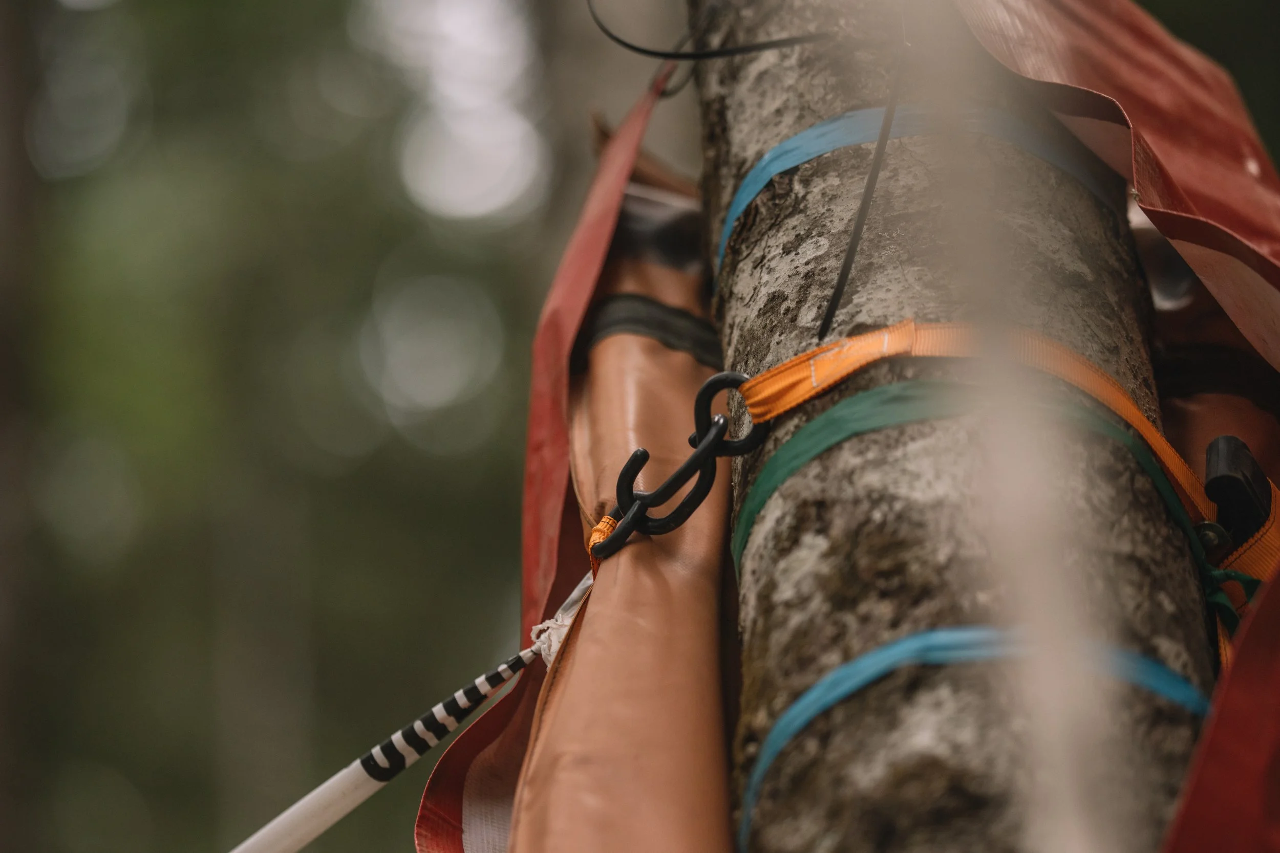 RobPerry_Arbutus_August 15, 2025_1-4.jpg