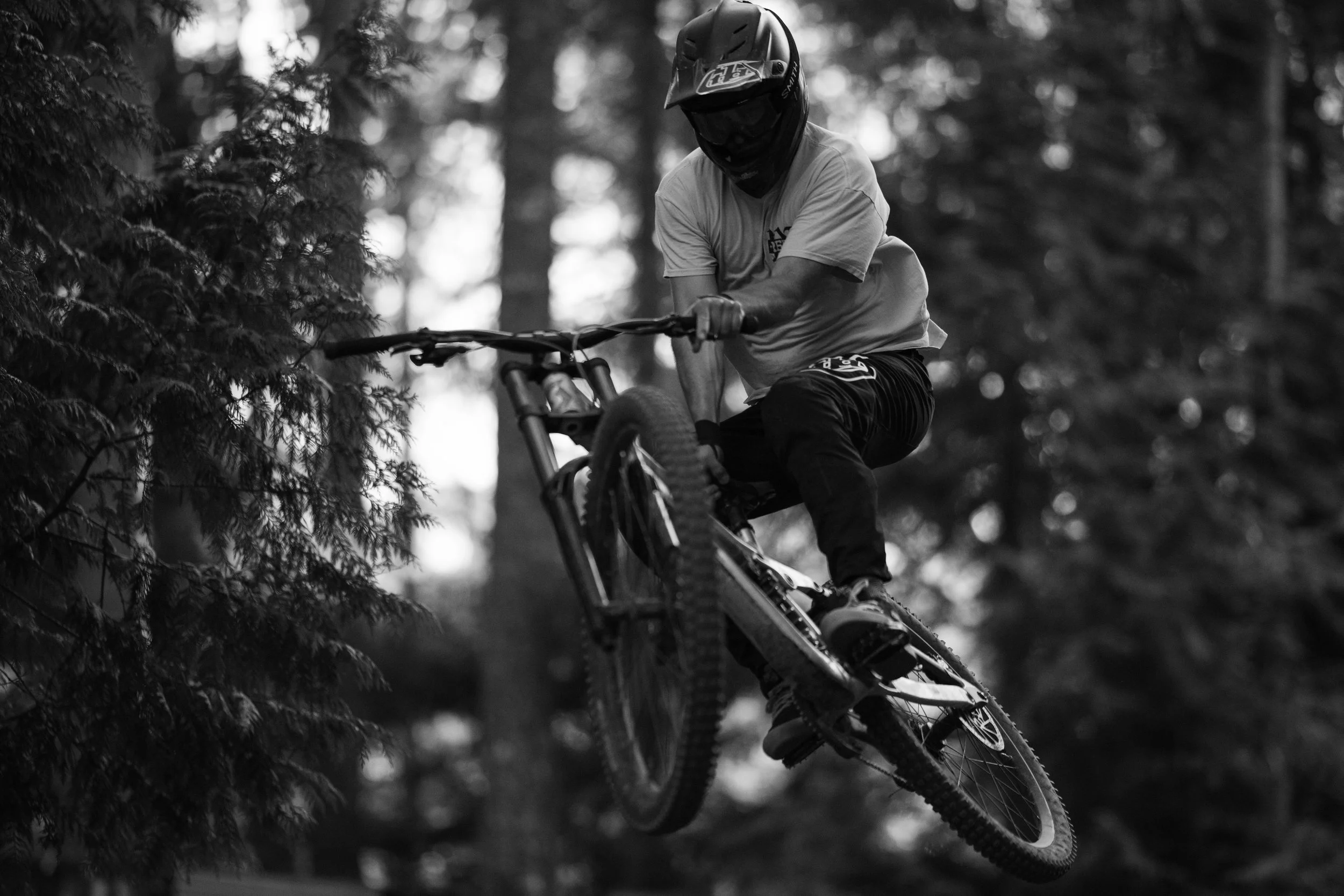 RobPerry_Arbutus_August 04, 2025_1-4.jpg