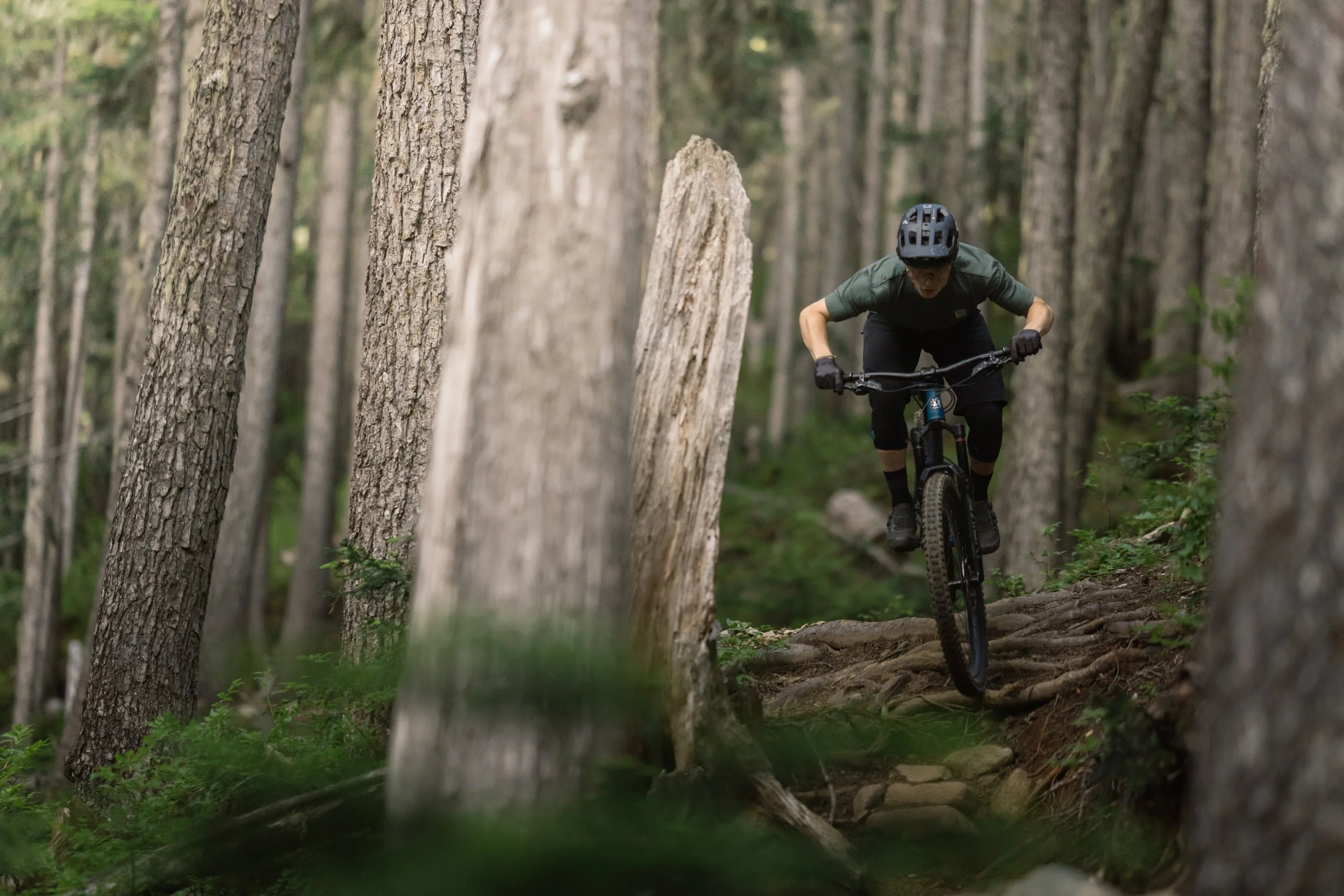 RobPerry_Arbutus_July 15, 2025_1.jpg