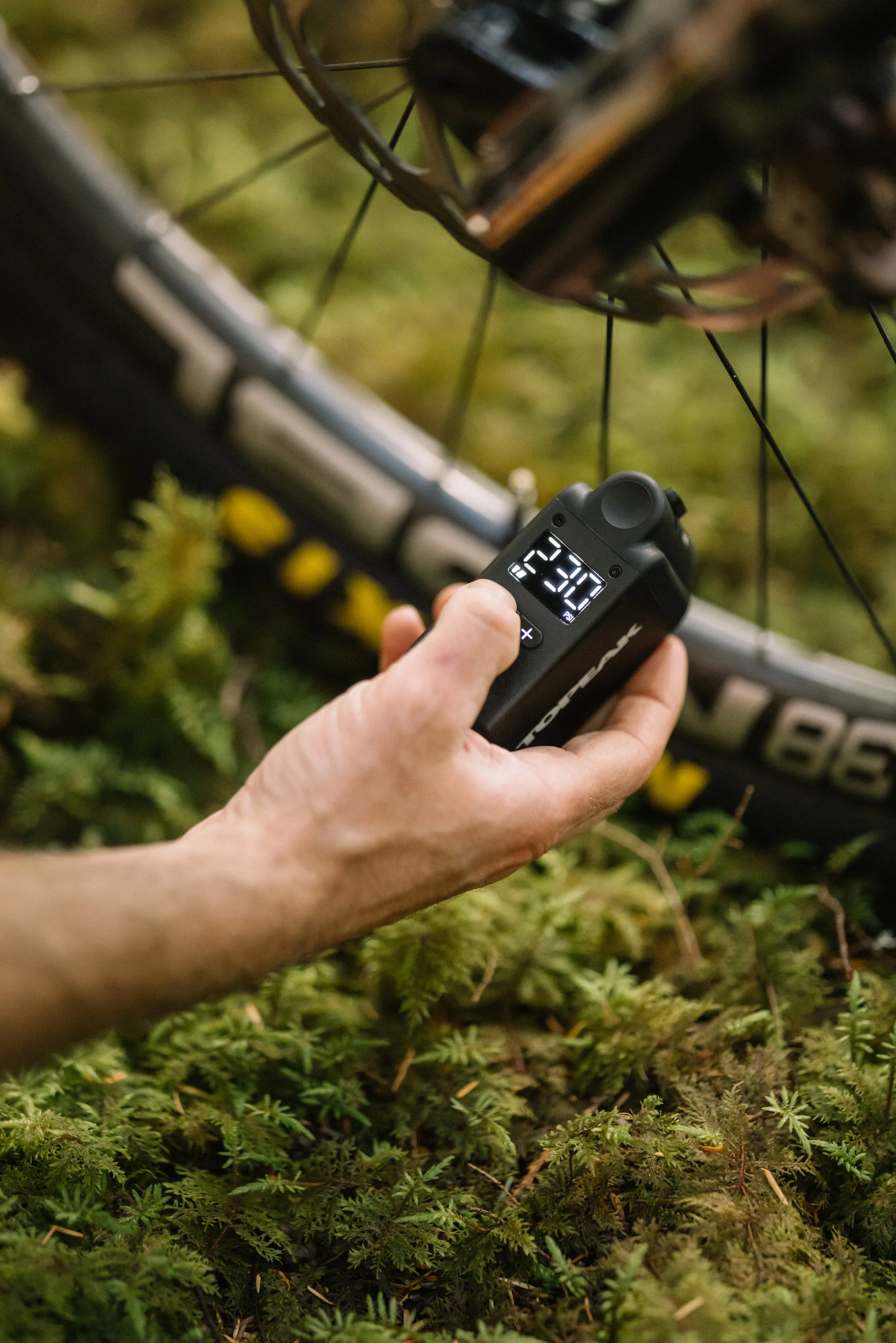 RobPerry_Arbutus_September 21, 2025_1-14.jpg