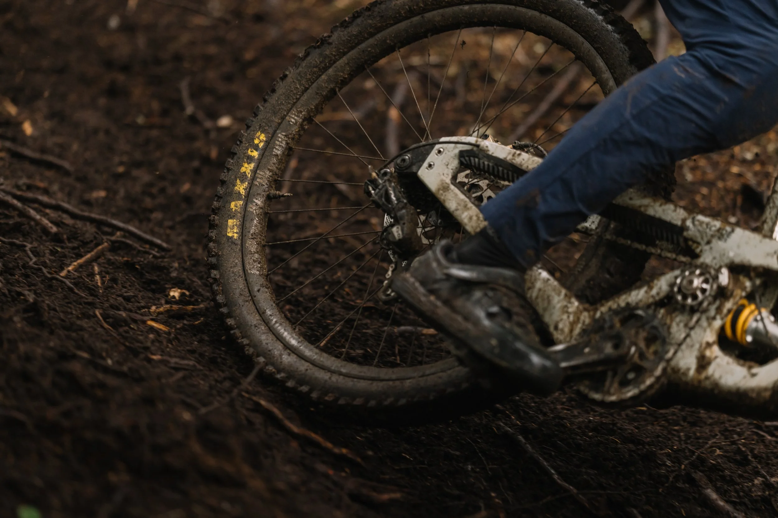 RobPerry_Arbutus_August 17, 2025_1-3.jpg