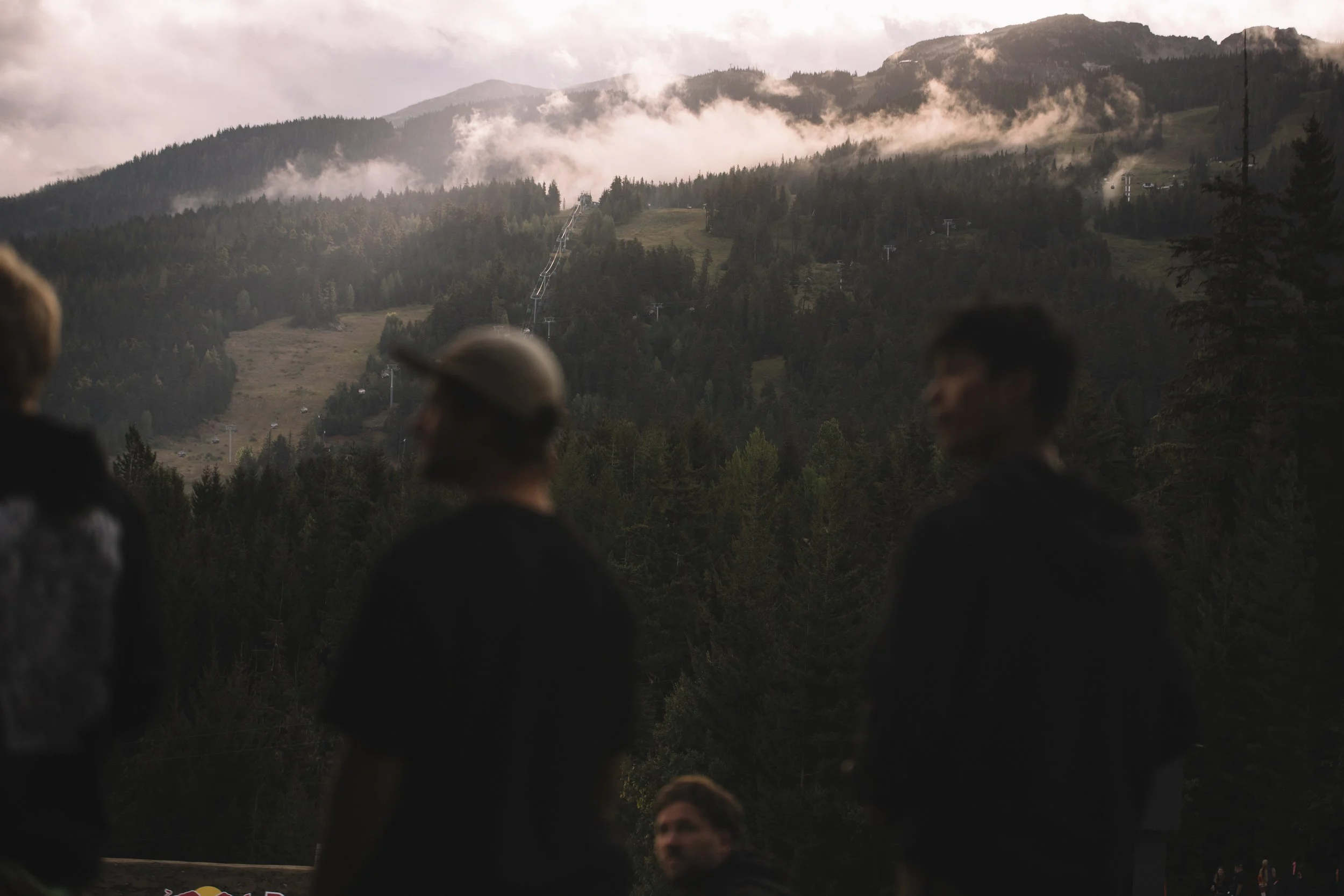 RobPerry_Arbutus_August 18, 2025_1-5.jpg