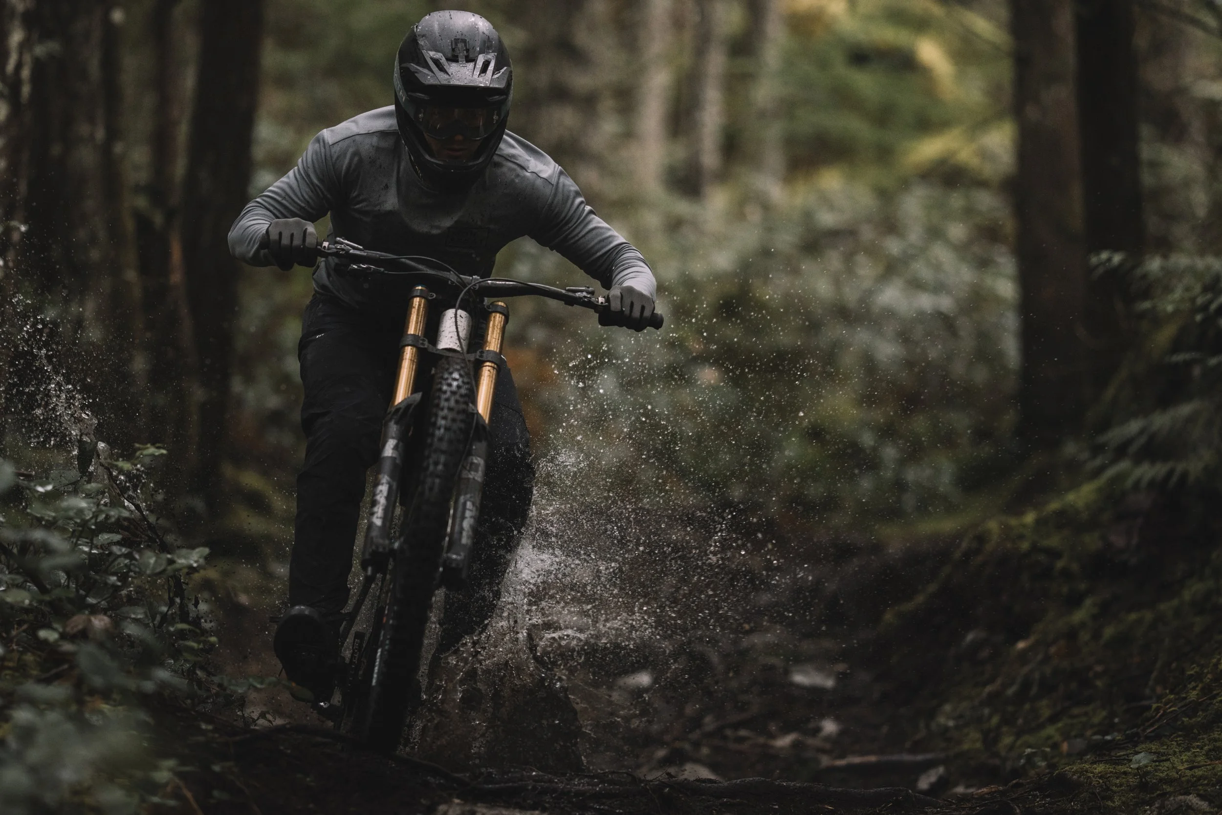 RobPerry_Arbutus_July 18, 2025_1-3.jpg