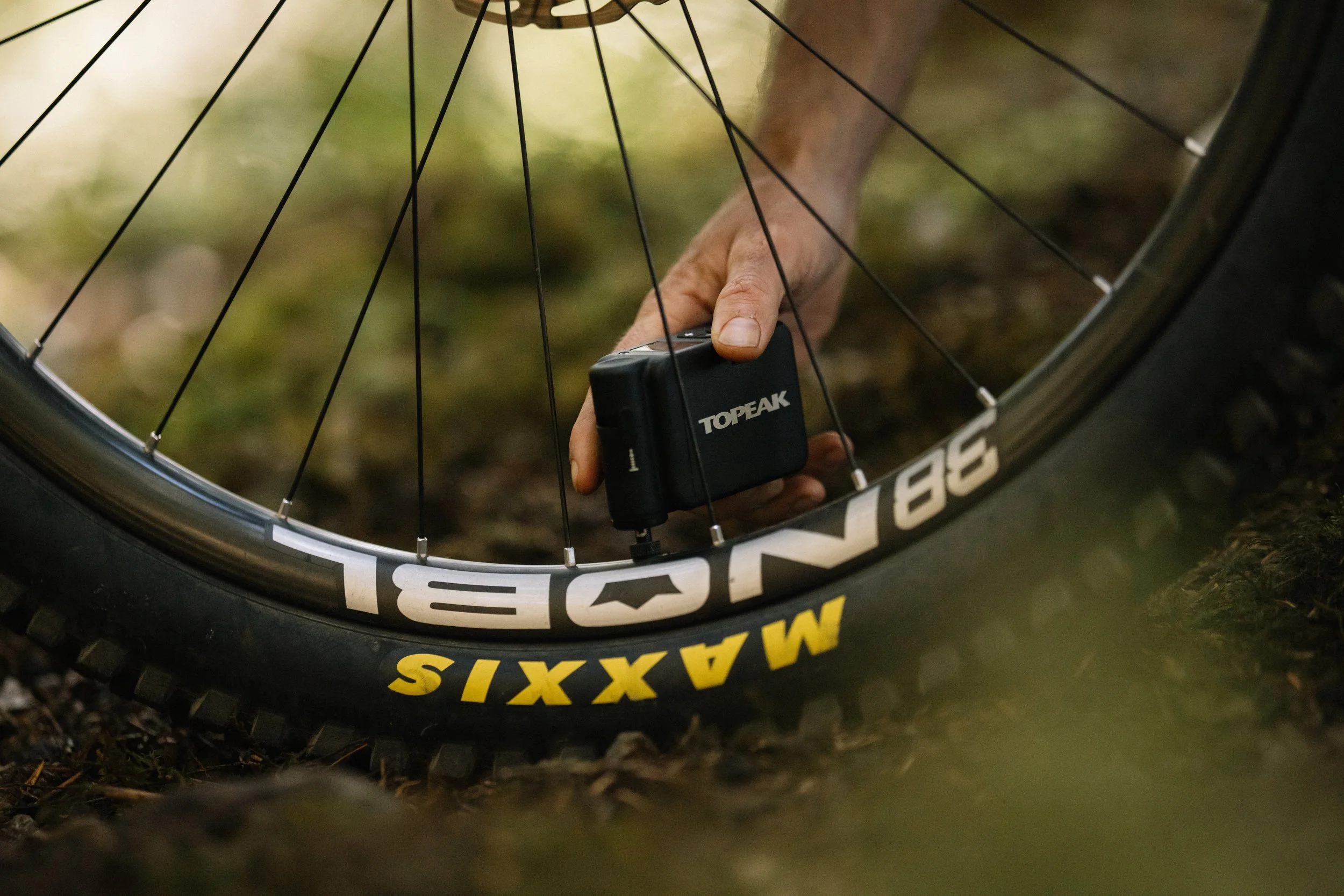 RobPerry_Arbutus_September 21, 2025_1-13.jpg