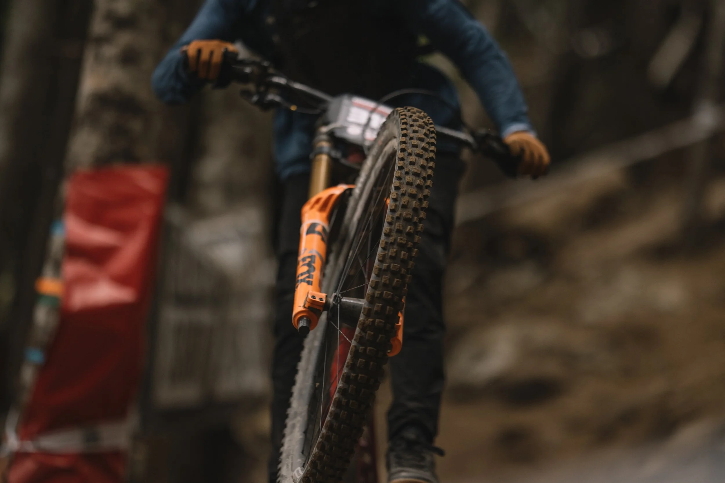 RobPerry_Arbutus_August 15, 2025_1-5.jpg