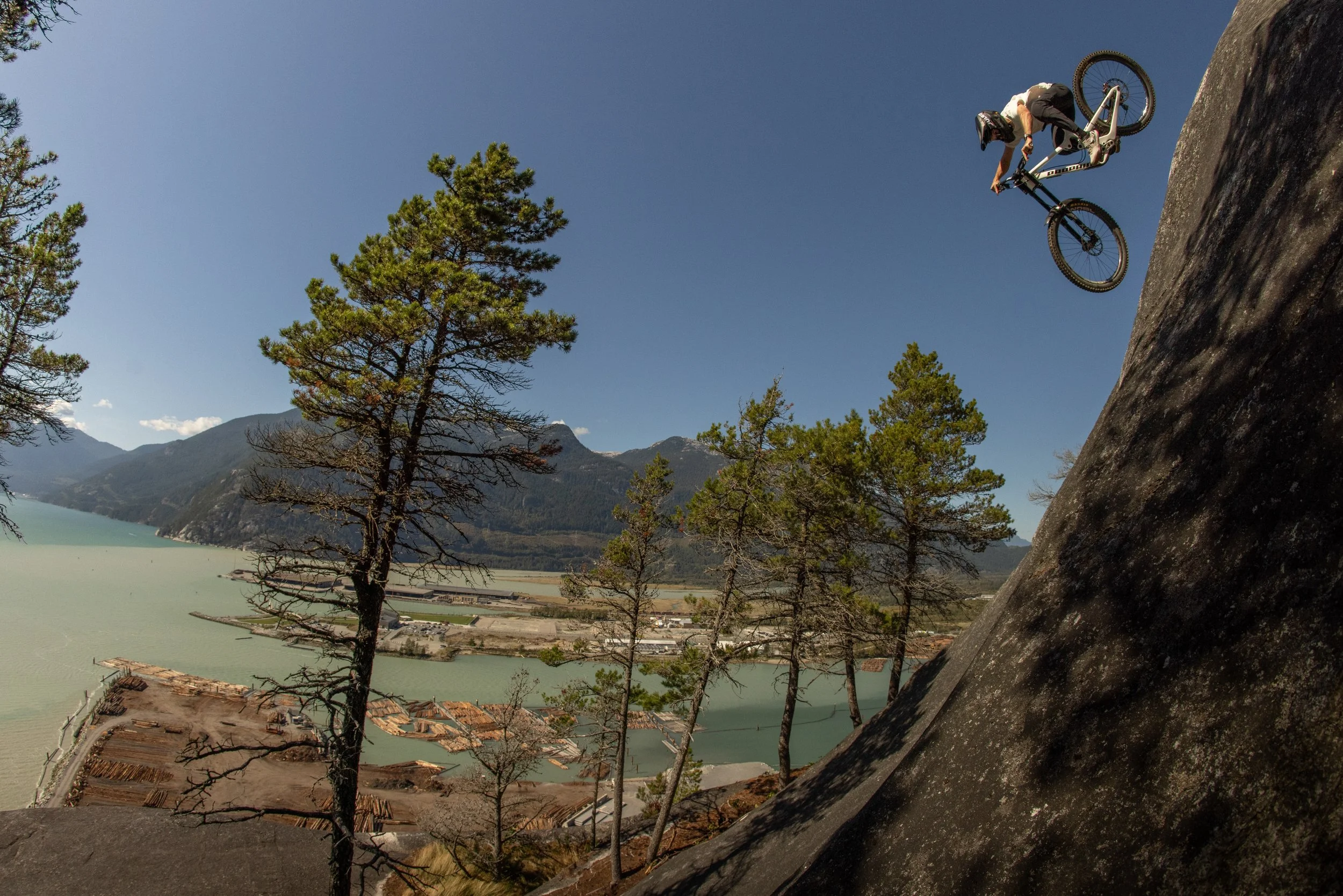 RobPerry_Arbutus_September 21, 2025_1.jpg