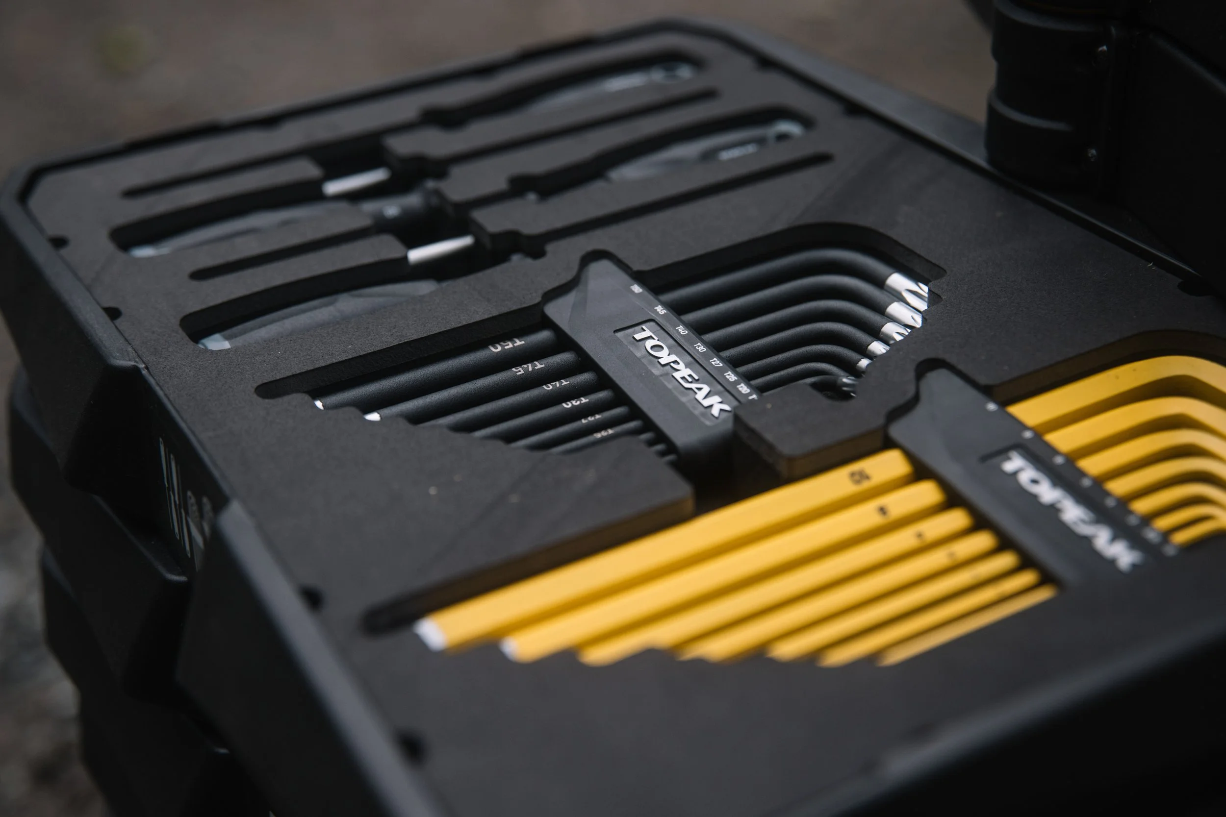 RobPerry_Arbutus_September 21, 2025_1-10.jpg