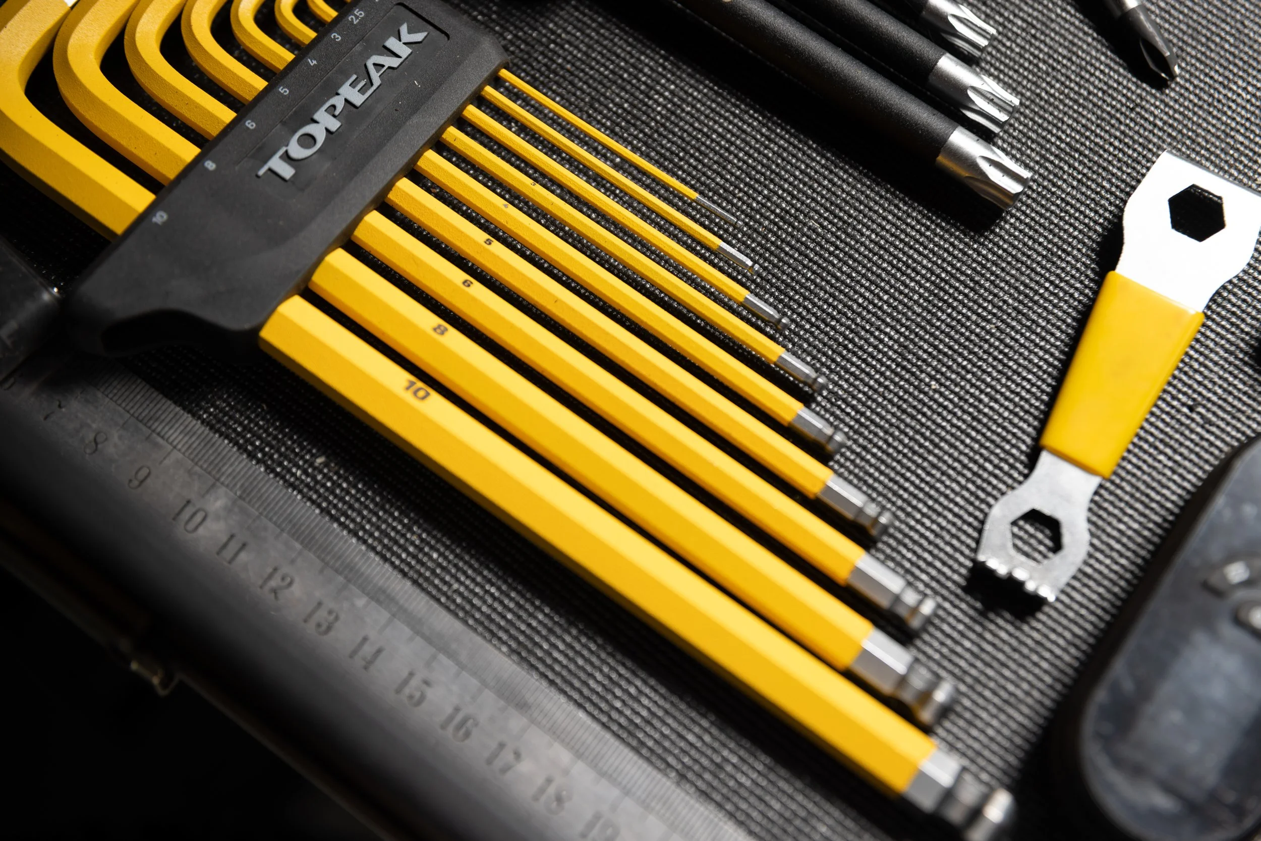 RobPerry_Arbutus_September 21, 2025_1-9.jpg