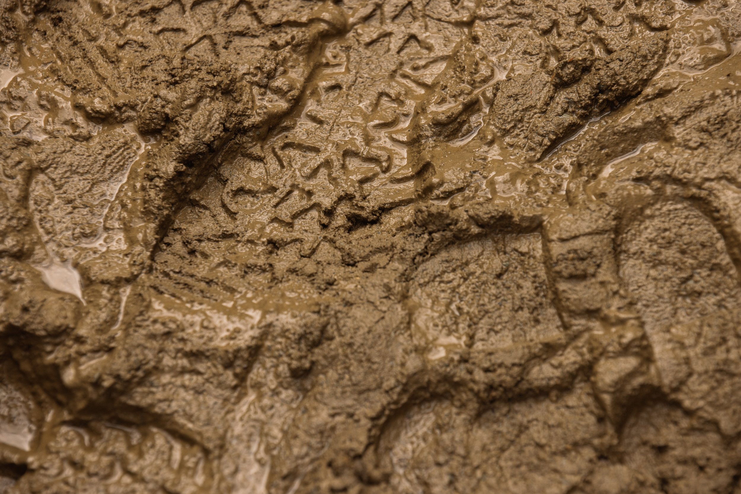 RobPerry_Arbutus_August 18, 2025_1-12.jpg