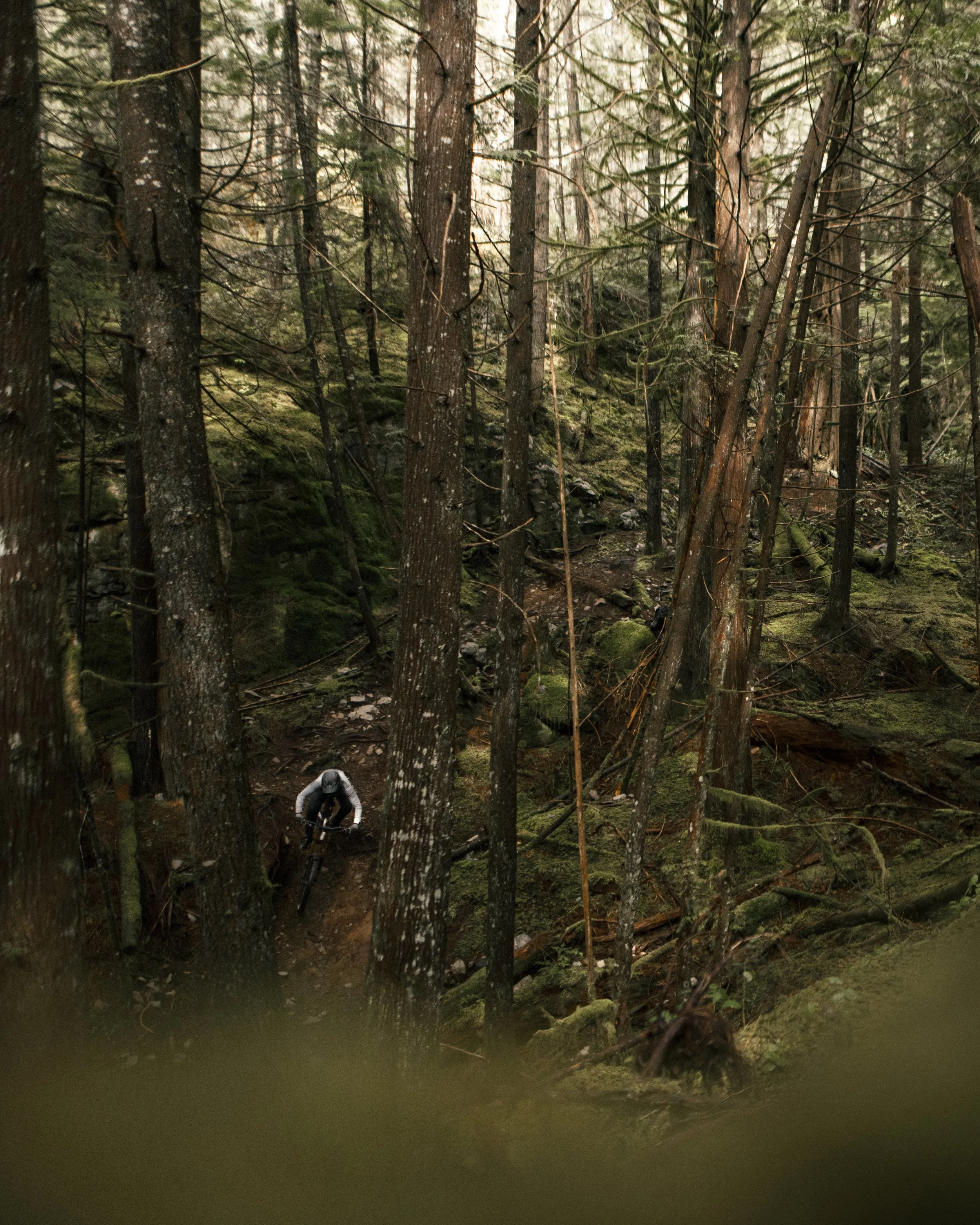 RobPerry_Arbutus_June 03, 2025_1.jpg