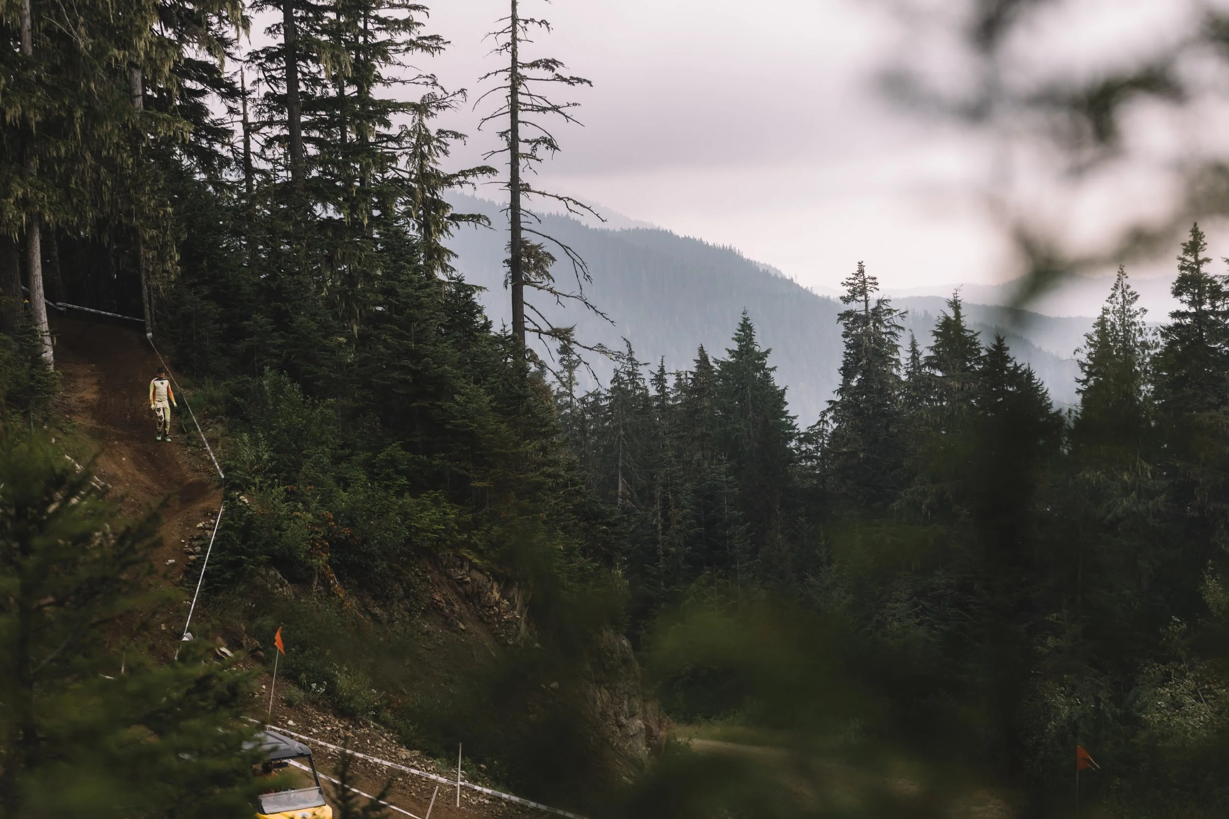 RobPerry_Arbutus_August 15, 2025_1.jpg