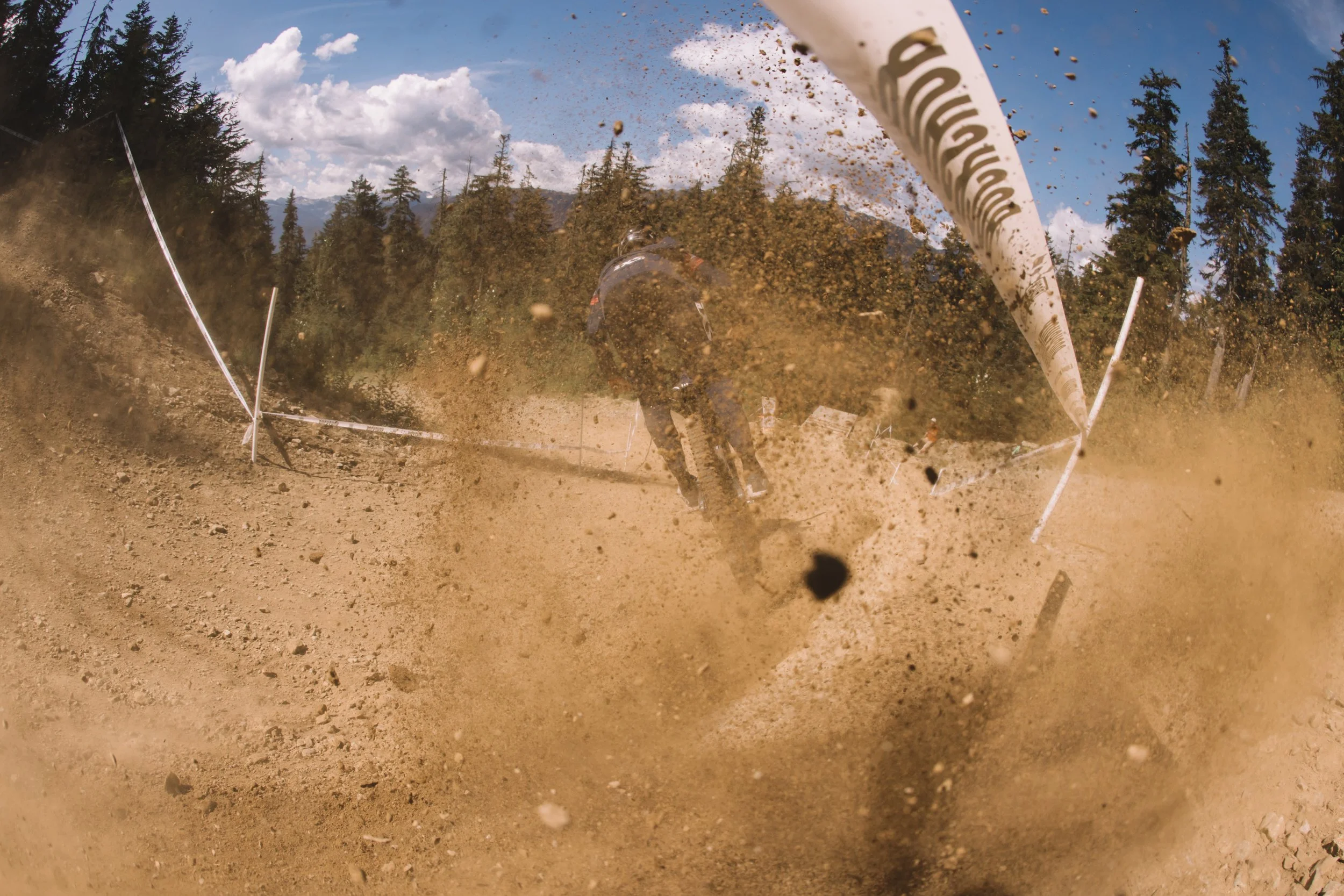 RobPerry_Arbutus_August 14, 2025_1-12.jpg