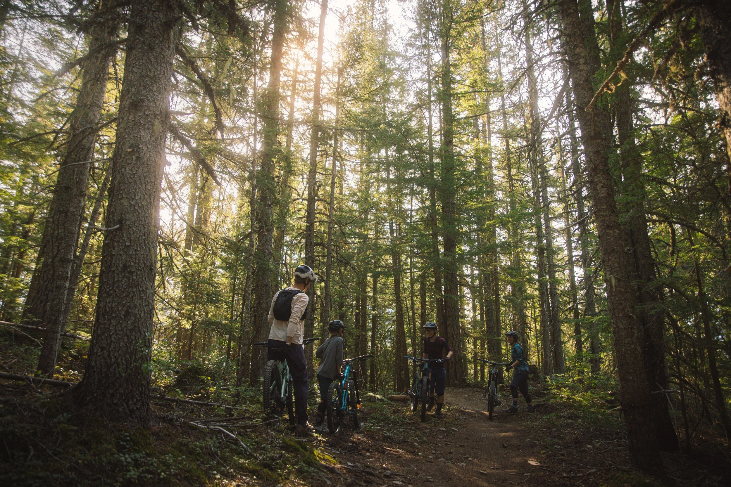 RobPerry_Arbutus_September 02, 2025_1-2.jpg