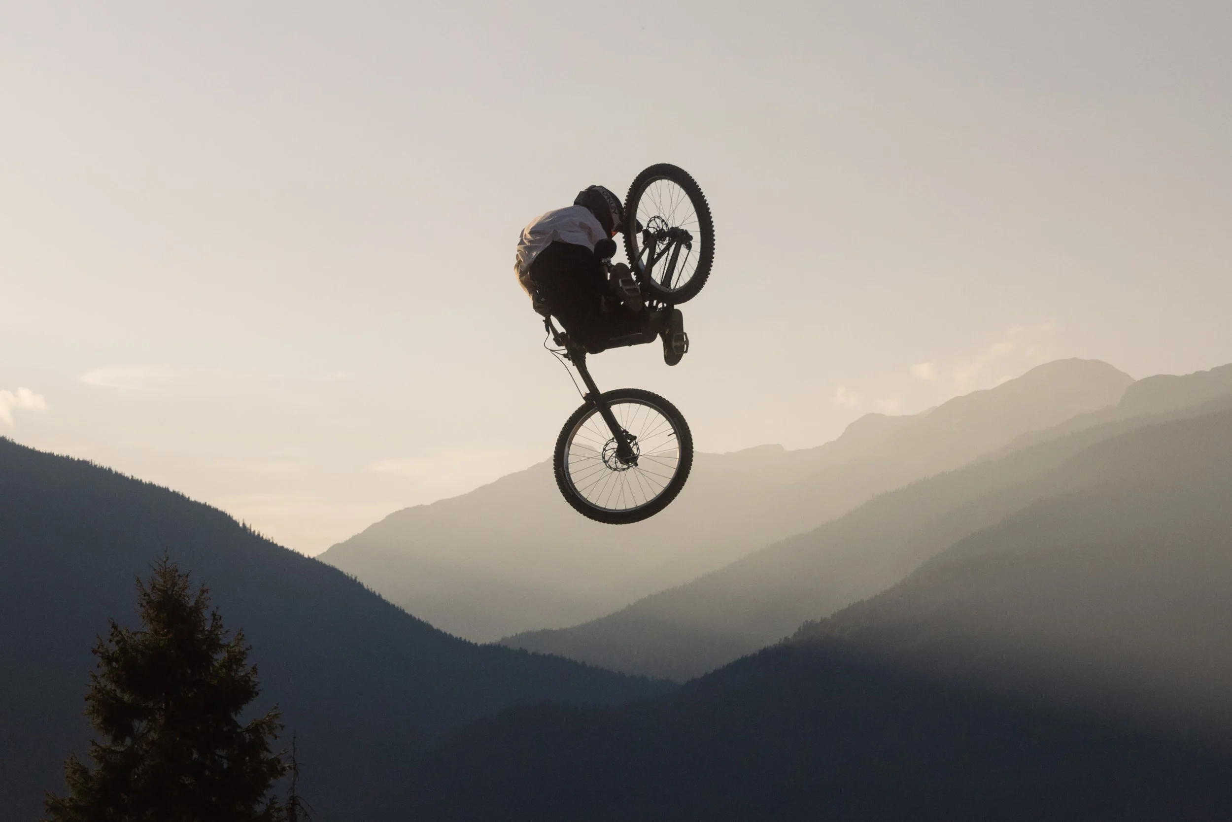 RobPerry_Arbutus_August 14, 2025_1-18.jpg