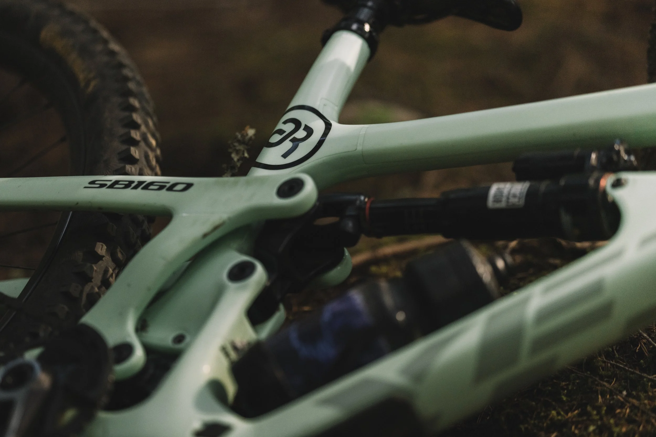 RobPerry_Arbutus_September 02, 2025_1-8.jpg