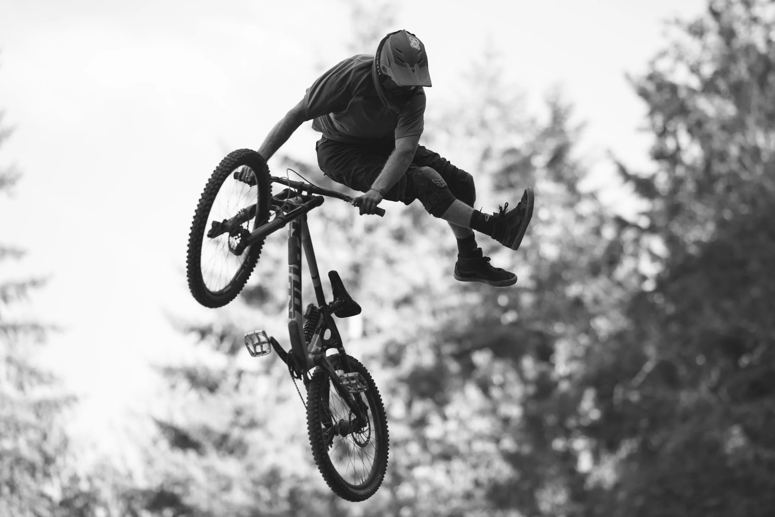 RobPerry_Arbutus_August 04, 2025_1-8.jpg