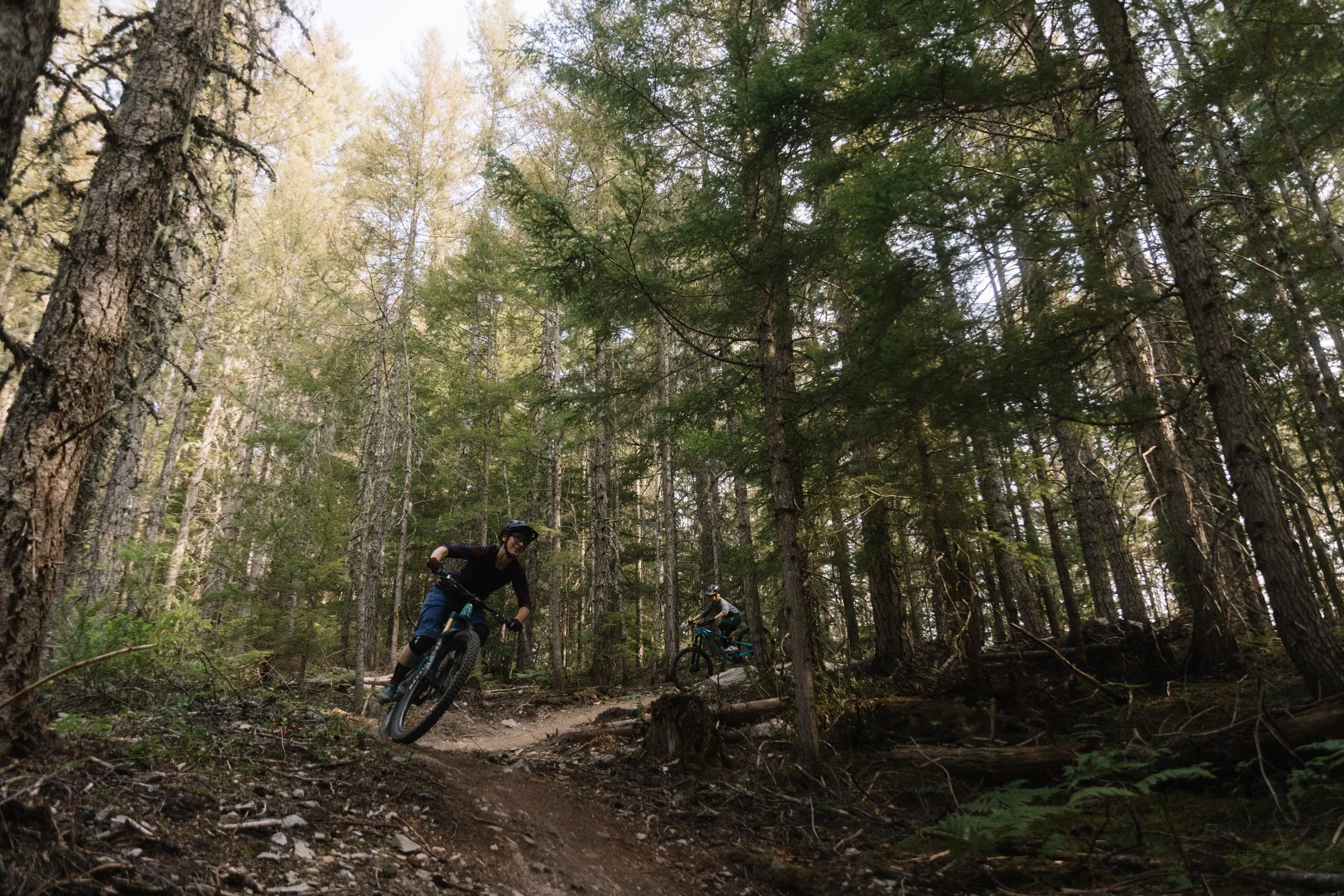 RobPerry_Arbutus_September 02, 2025_1-6.jpg