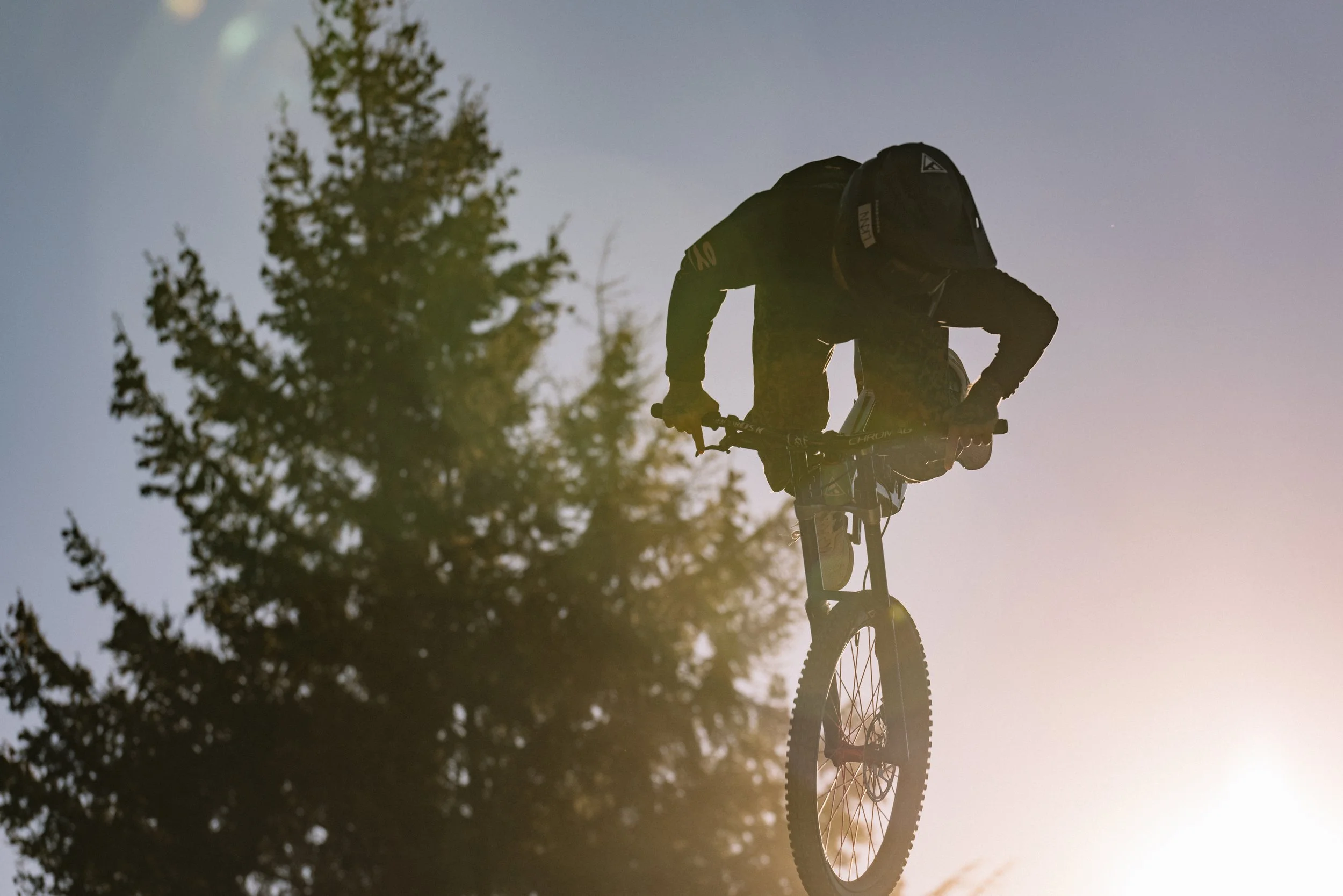 RobPerry_Arbutus_August 14, 2025_1-2.jpg