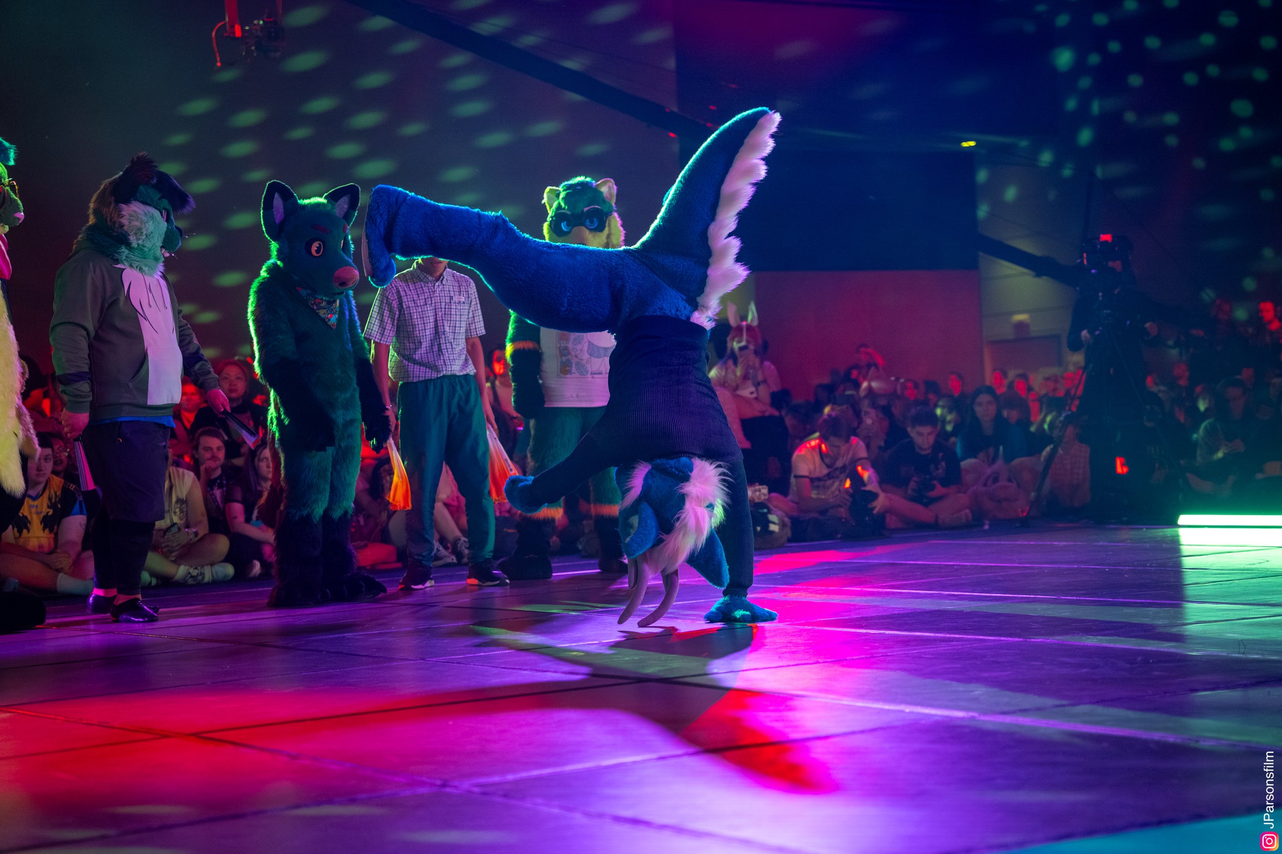 ANTHROCON_25_2335.jpg