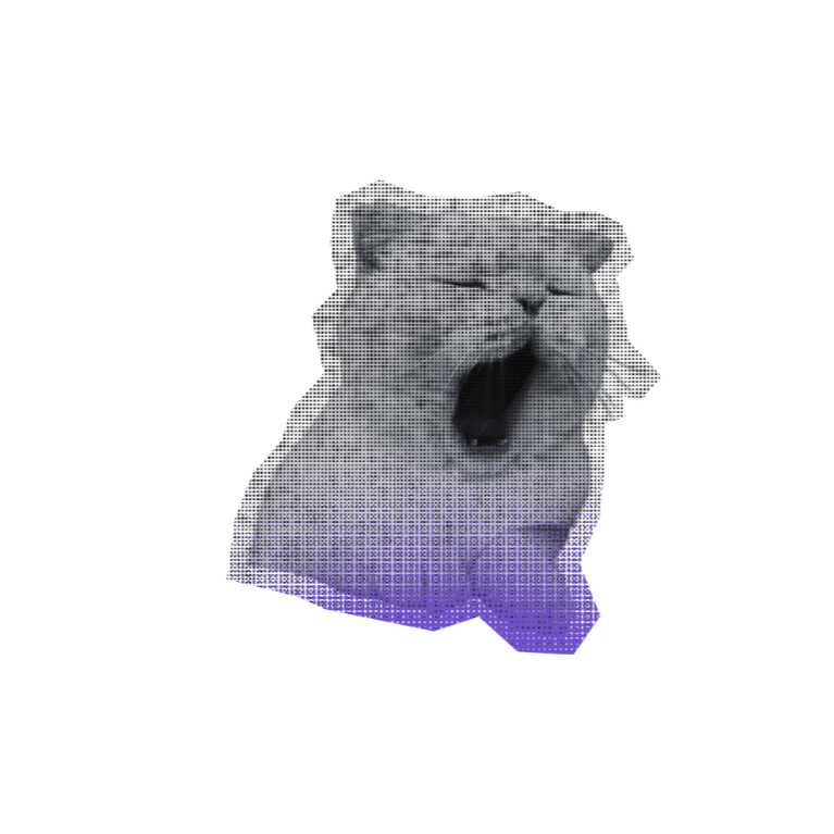 Purple and white magazine style cat with it's mouth open yawning