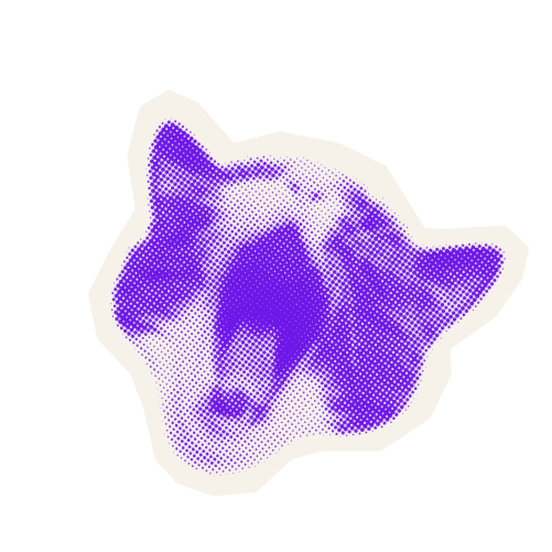 Purple and white magazine style cat with it's mouth open