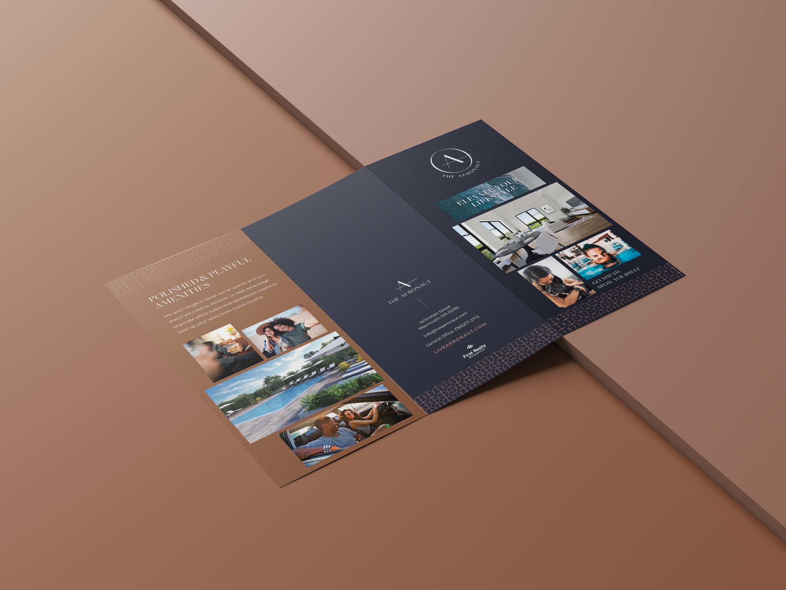 Trifold design back