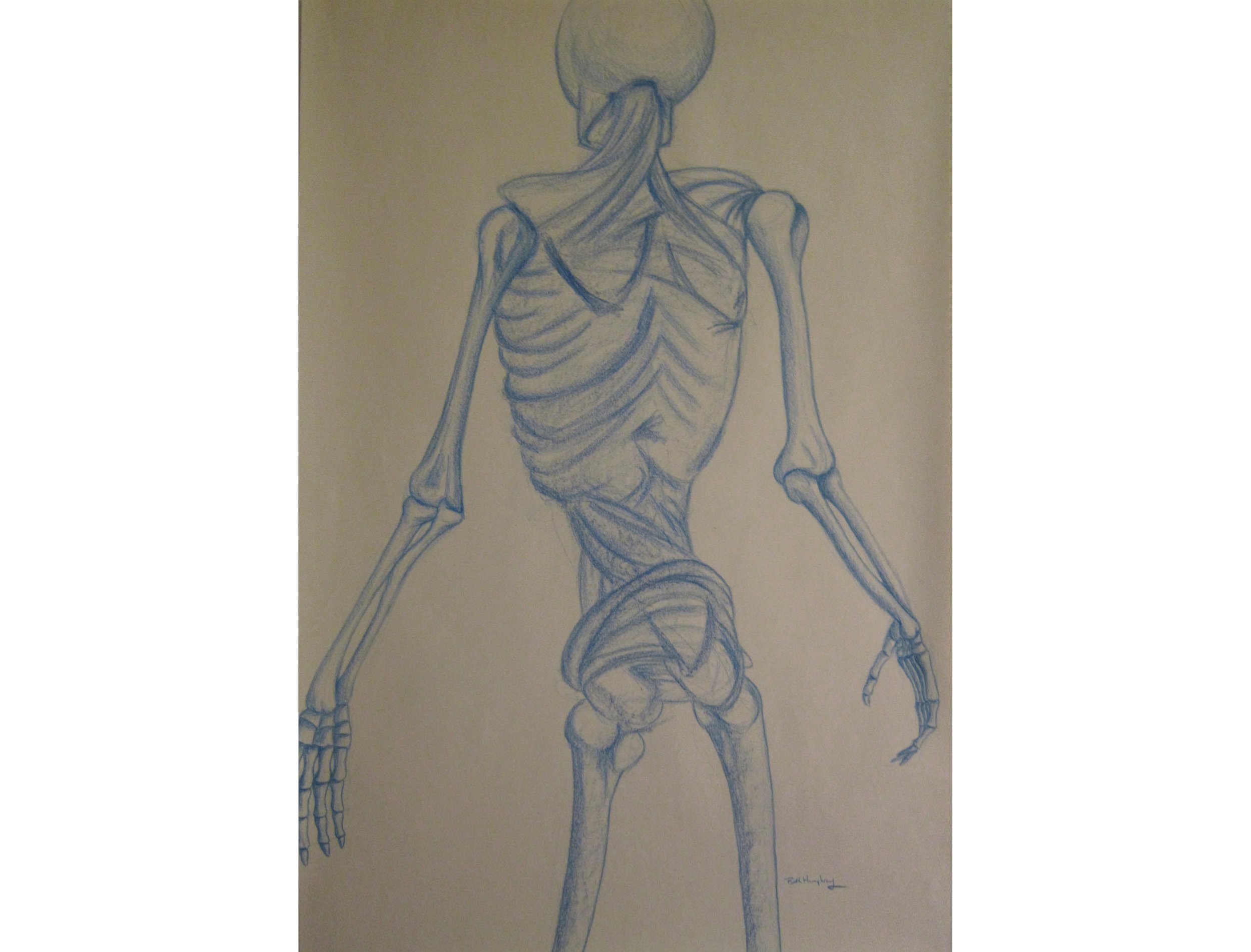 A drawing of a back view of a skeleton wrapped in fabric in blue crayon & colored pencils.