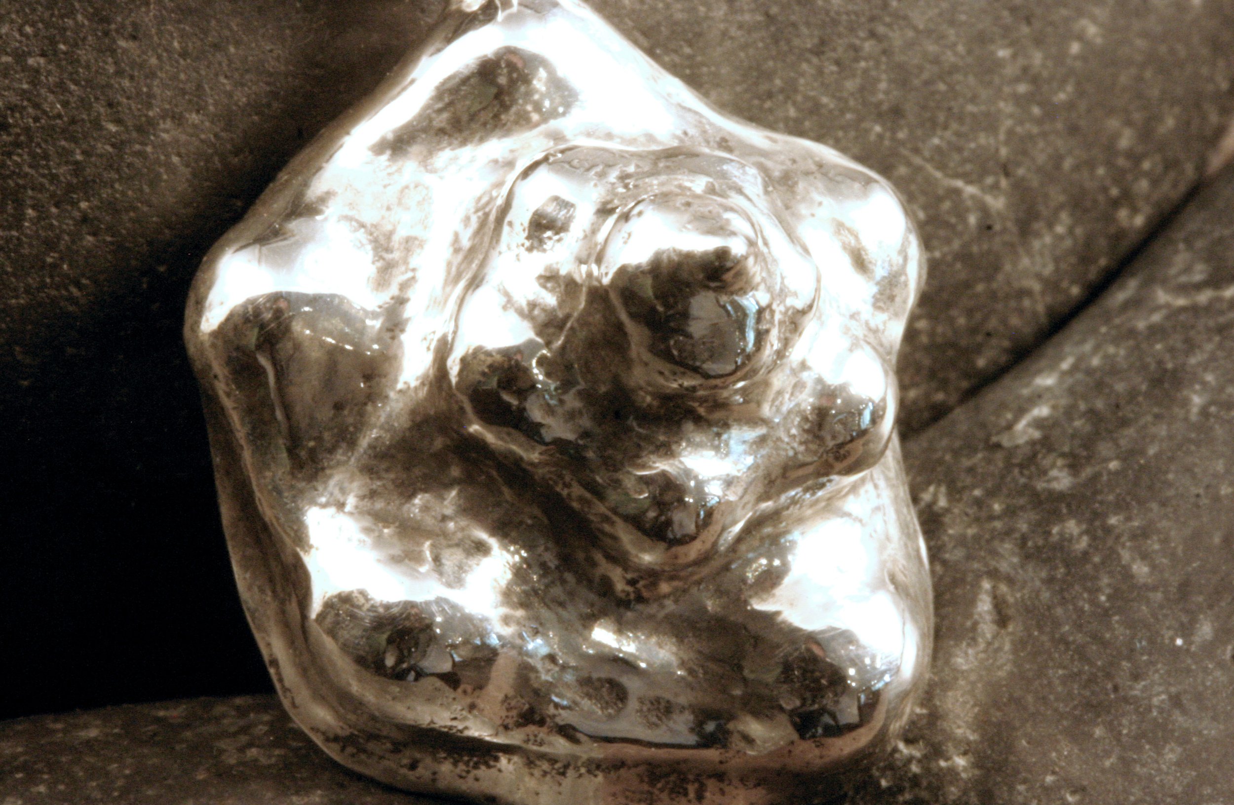 A close up of a medium sterling silver conch shell pendant.