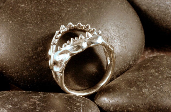 A front view of a sterling silver shark jaw ring.