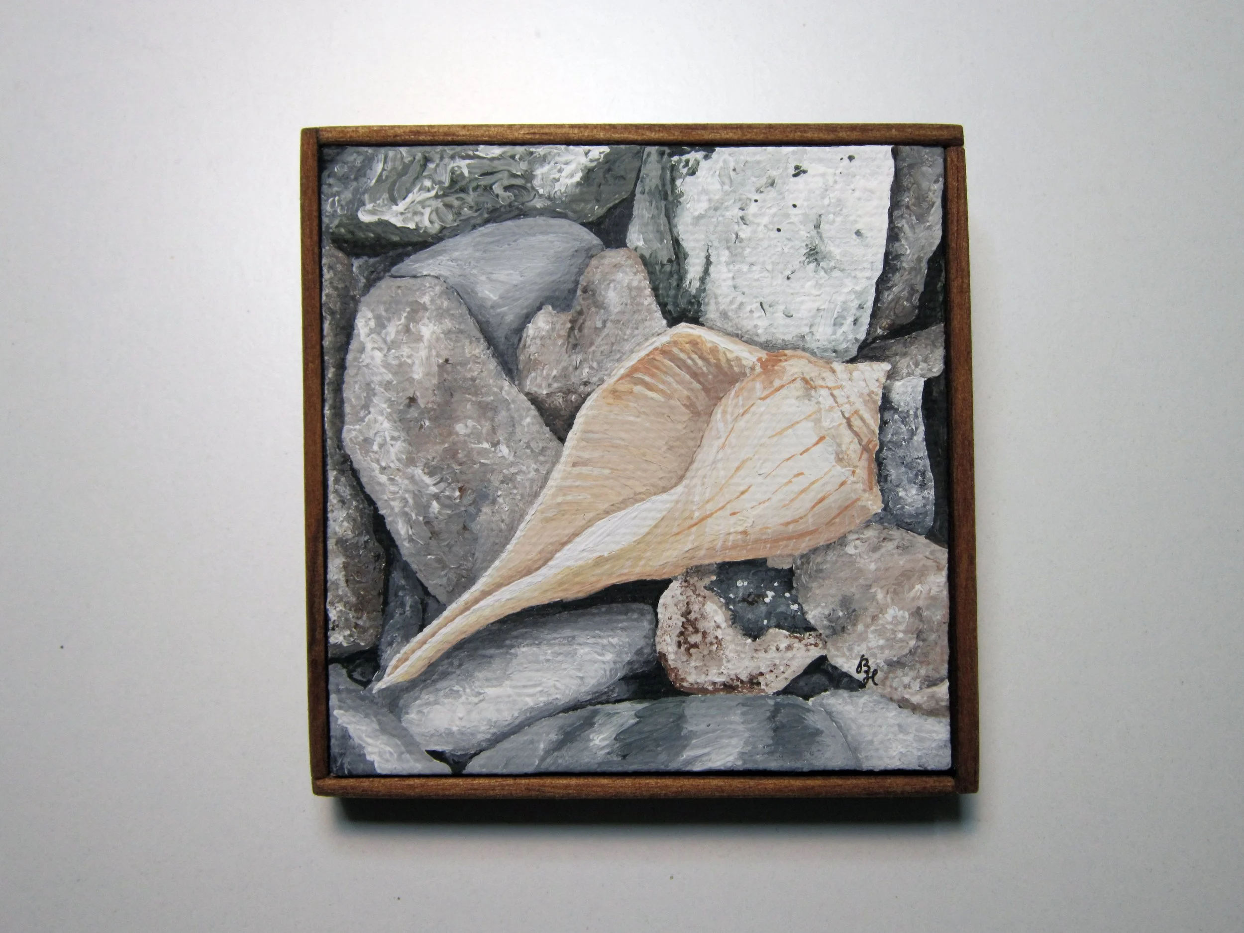 A small framed square painting of a whelk shell on some rocks