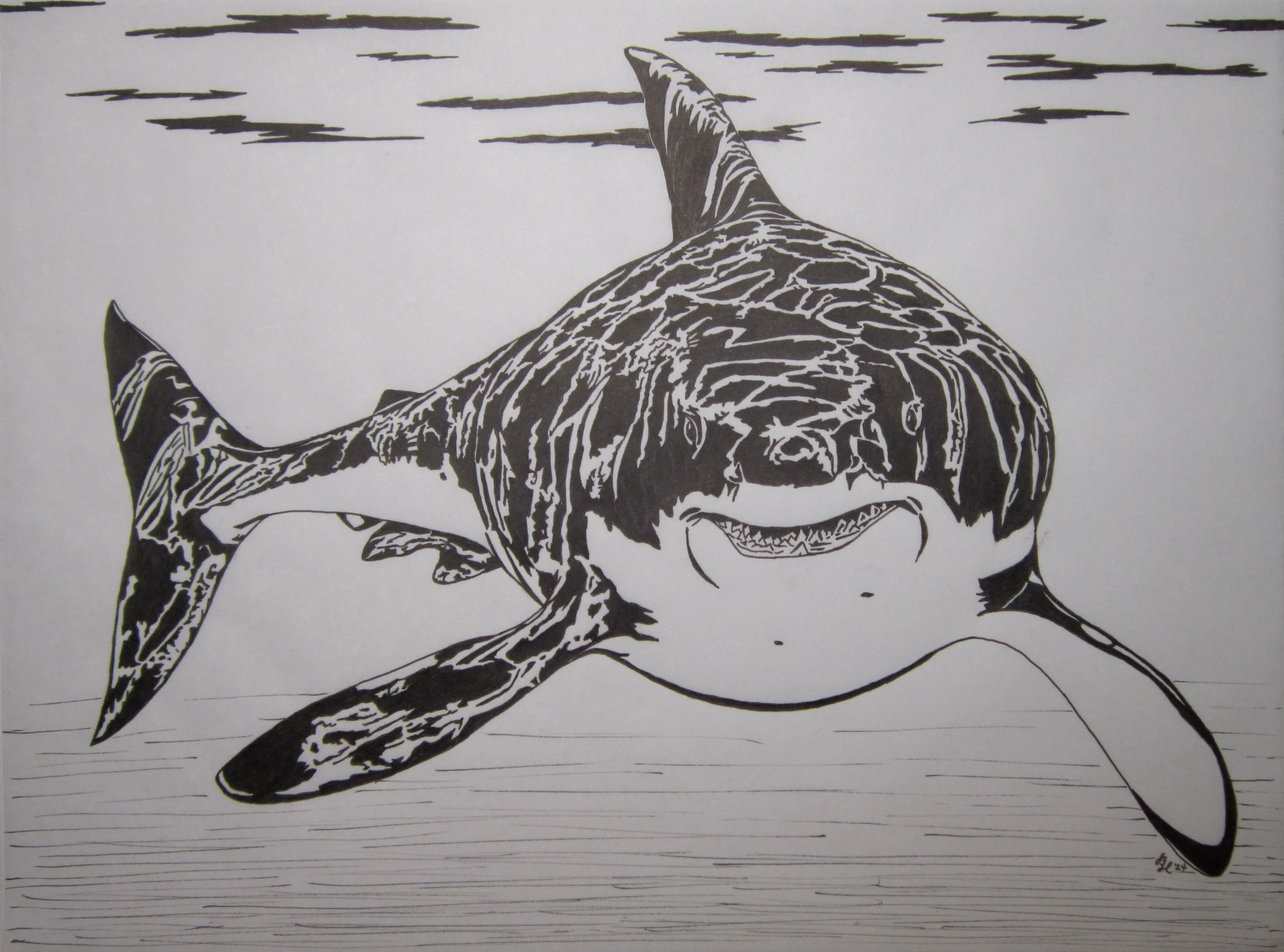A smiling great white shark drawing in black & white with marker on paper.
