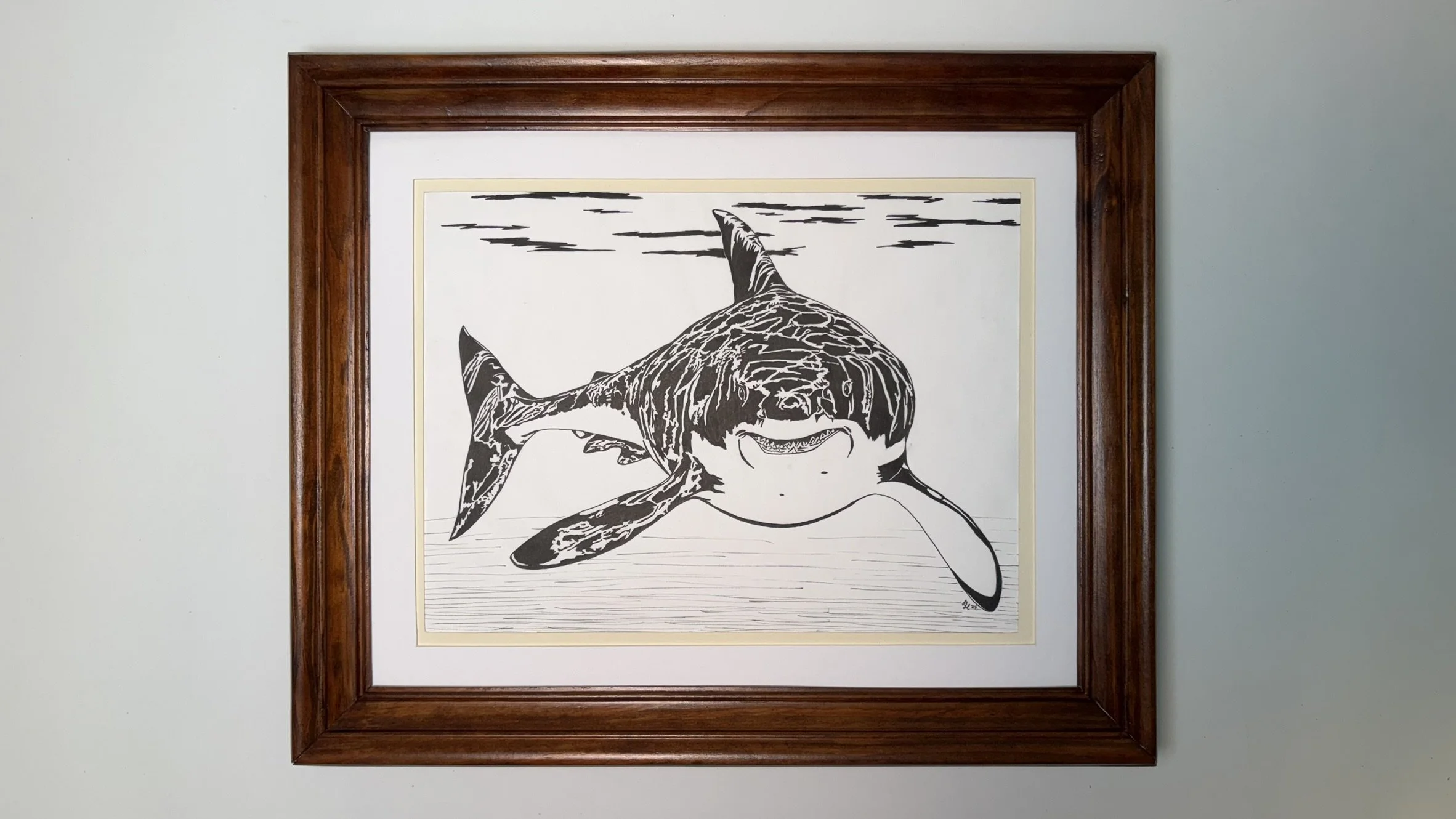 A wood frame around a black & white marker drawing of a smiling great white shark with reflections of water along his back.