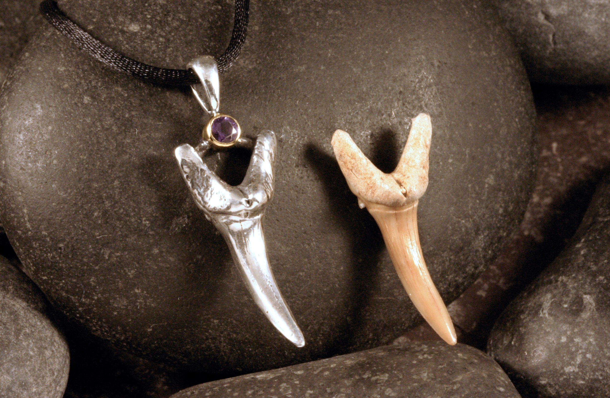 A twotone sterling silver and 14K gold fossil shark tooth pendant next to the original fossil tooth.