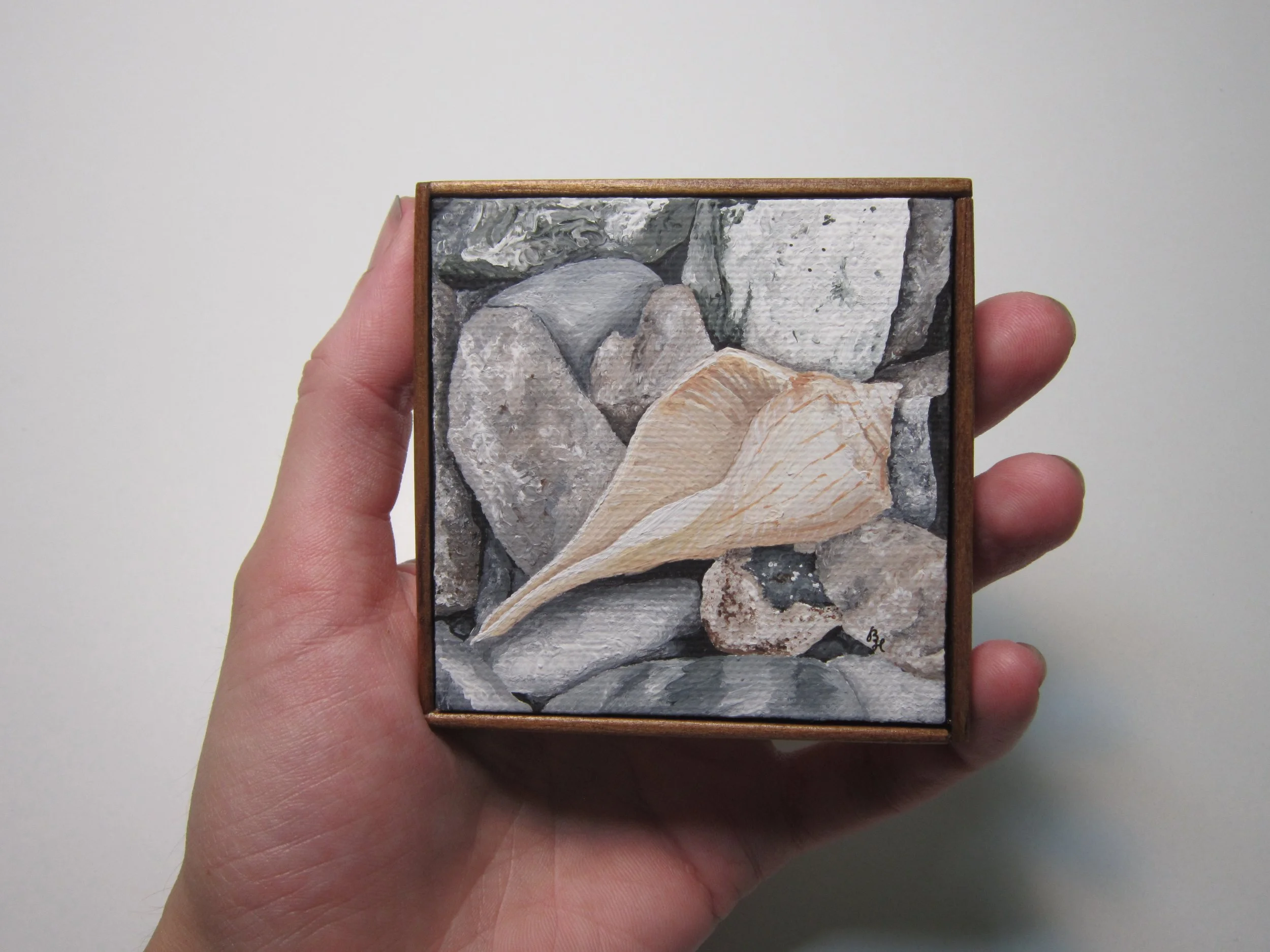 A hand holding a framed miniature painting of a whelk shell on rocks.
