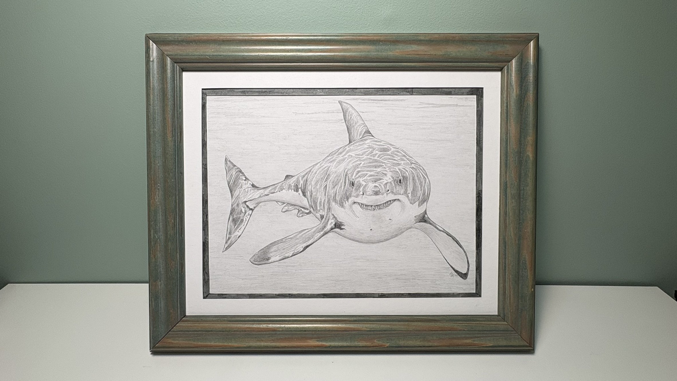 A smiling great white shark shaded pencil drawing framed in a wooden frame with a green wash finish.